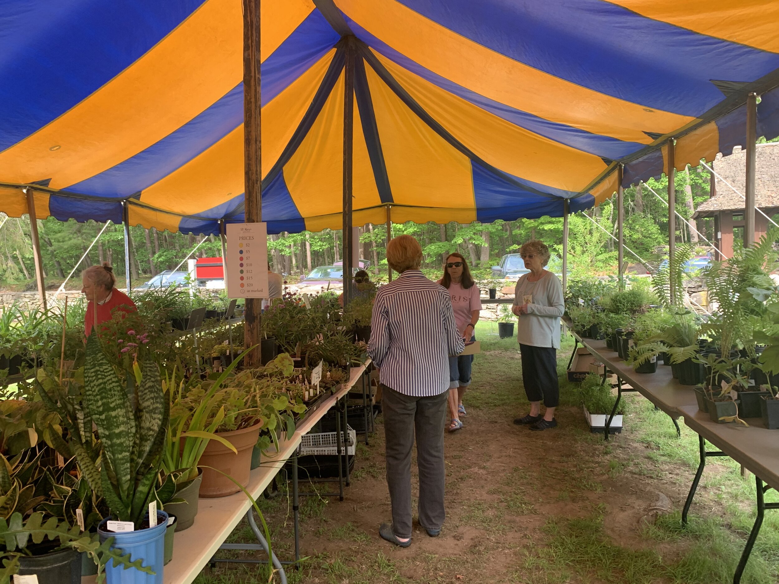 2021 Plant Sale 4.jpeg