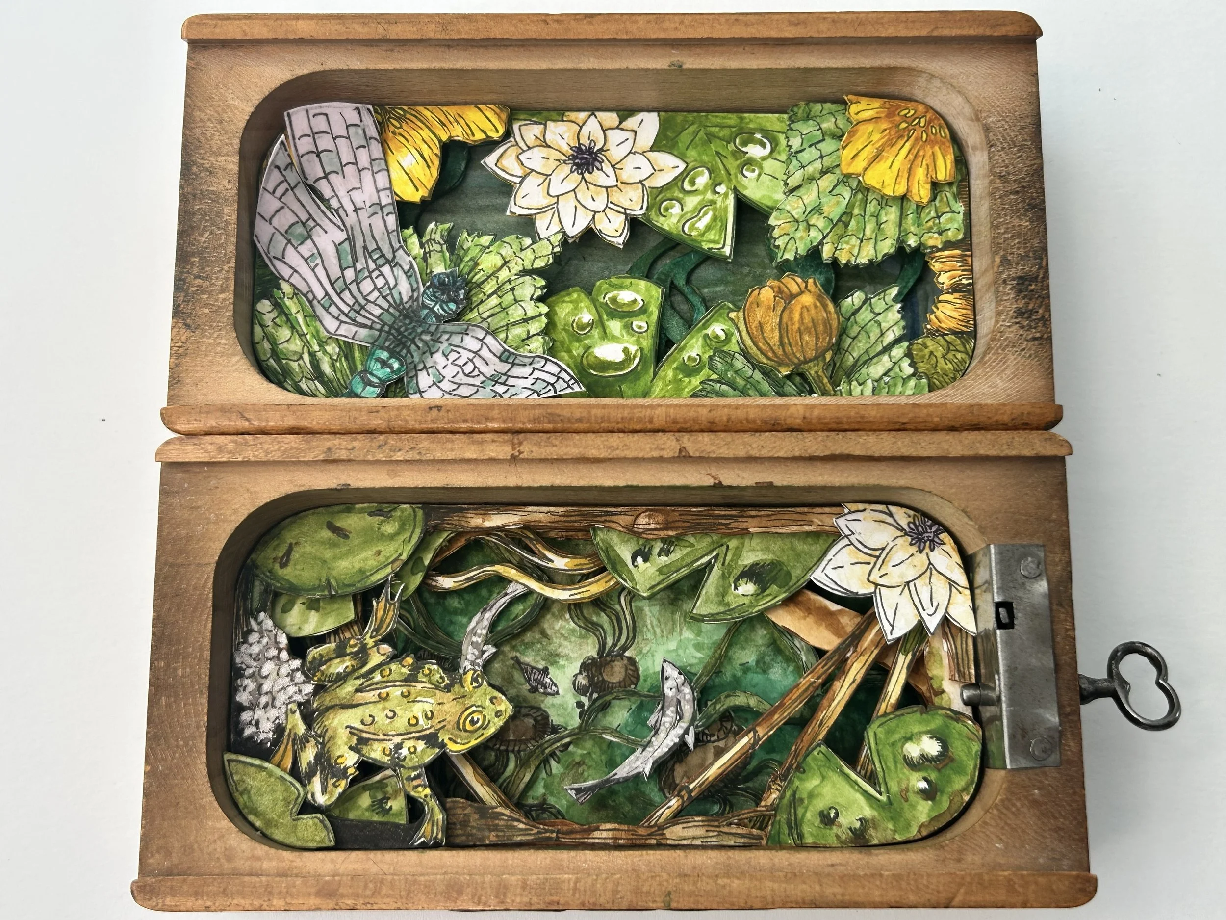 Heather Munro - Pond Box