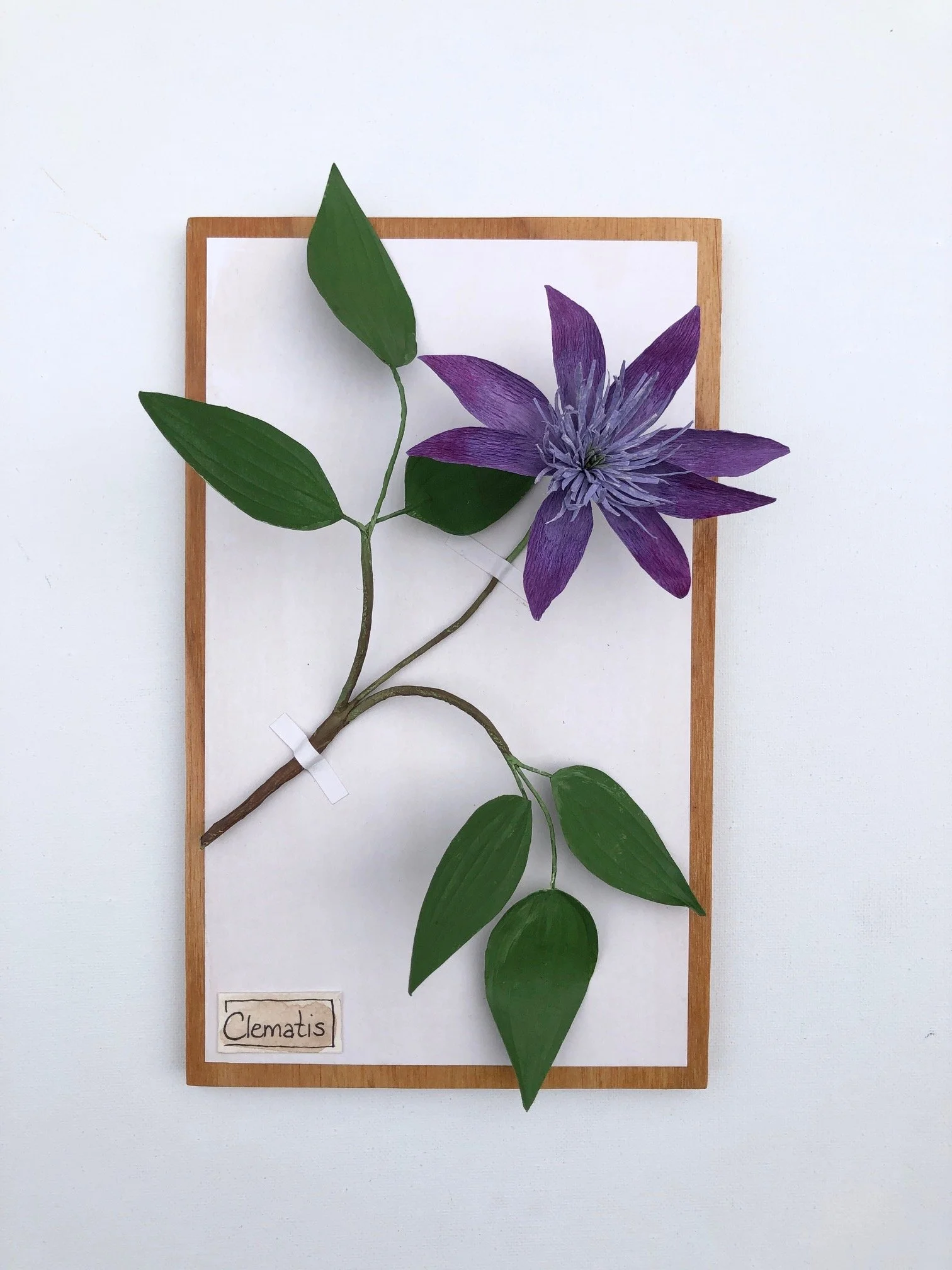 ClematisII_10x6_PaperSculpture_$165.jpeg