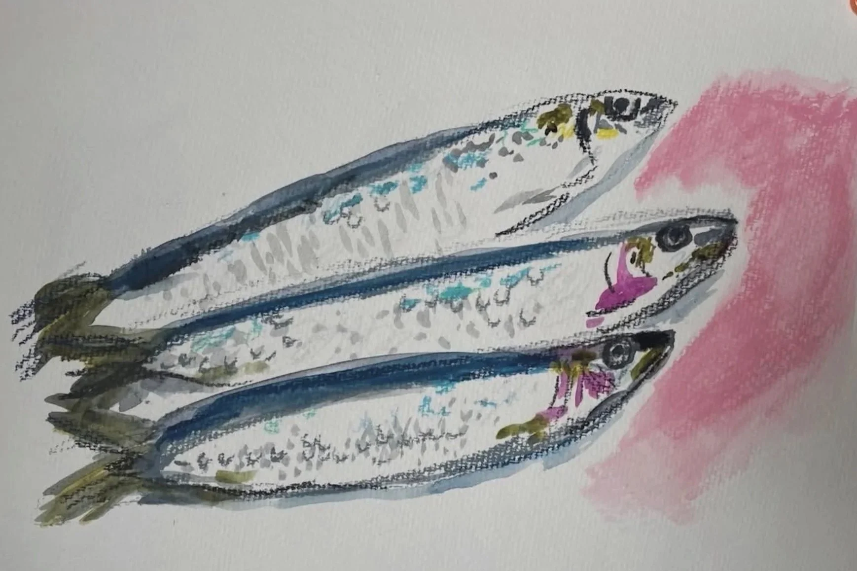 Three+Fish_8x10WatercolourMixedMedia_110.jpg