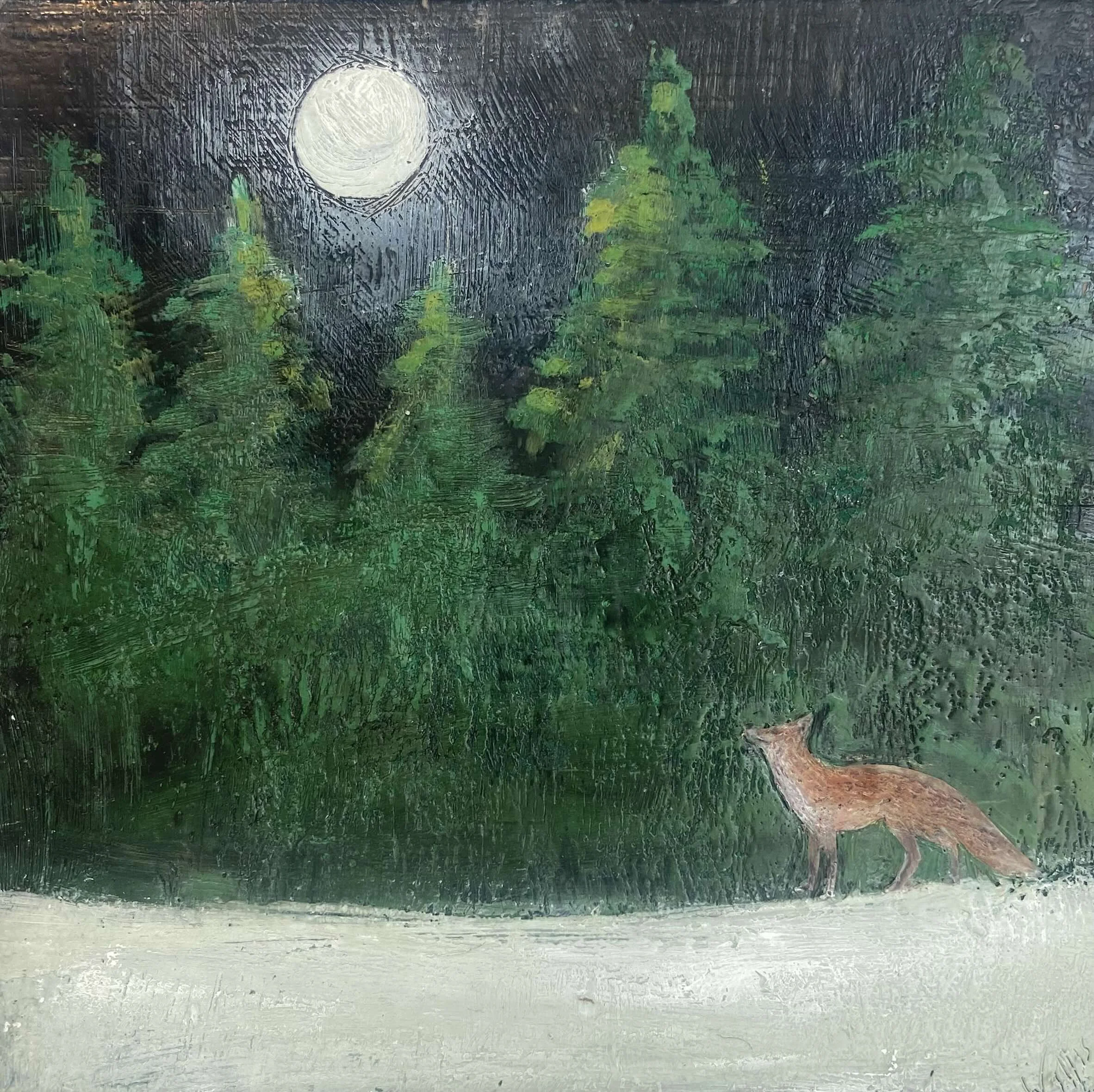 Just a Fox Listening to the Moon. 12x12  $485