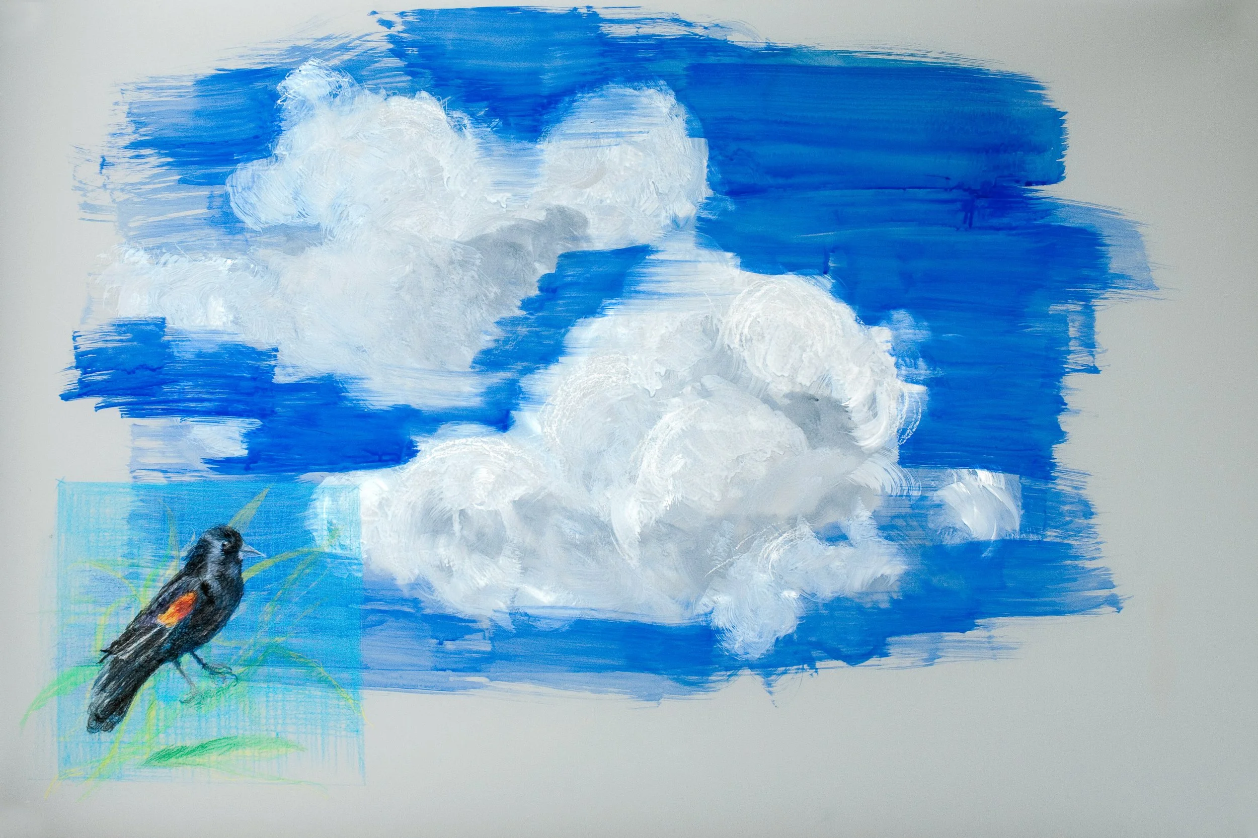 Cloud Nine (Hugh's Bird) - Dawson.jpg