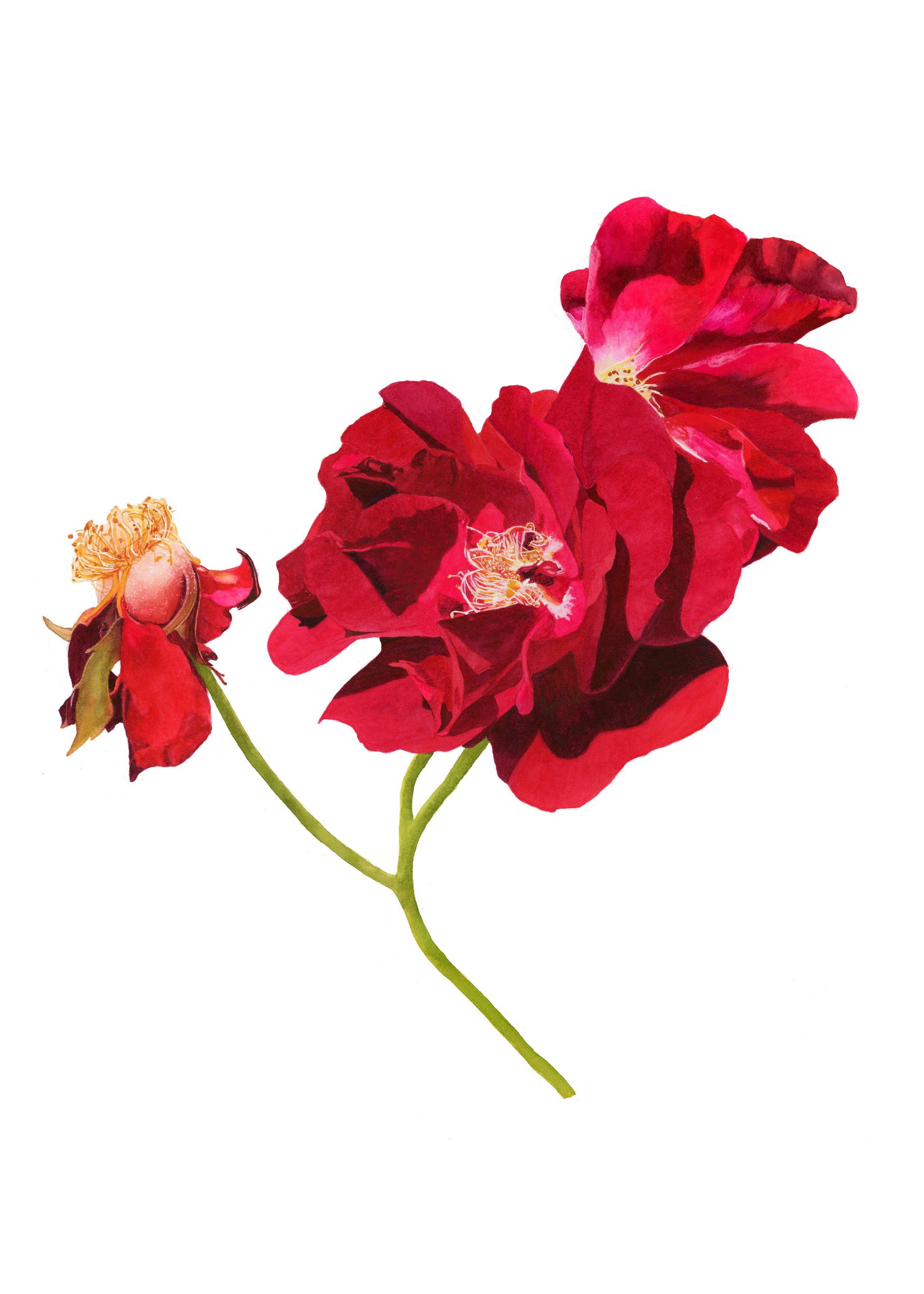 A Triad of Emotions.jpg