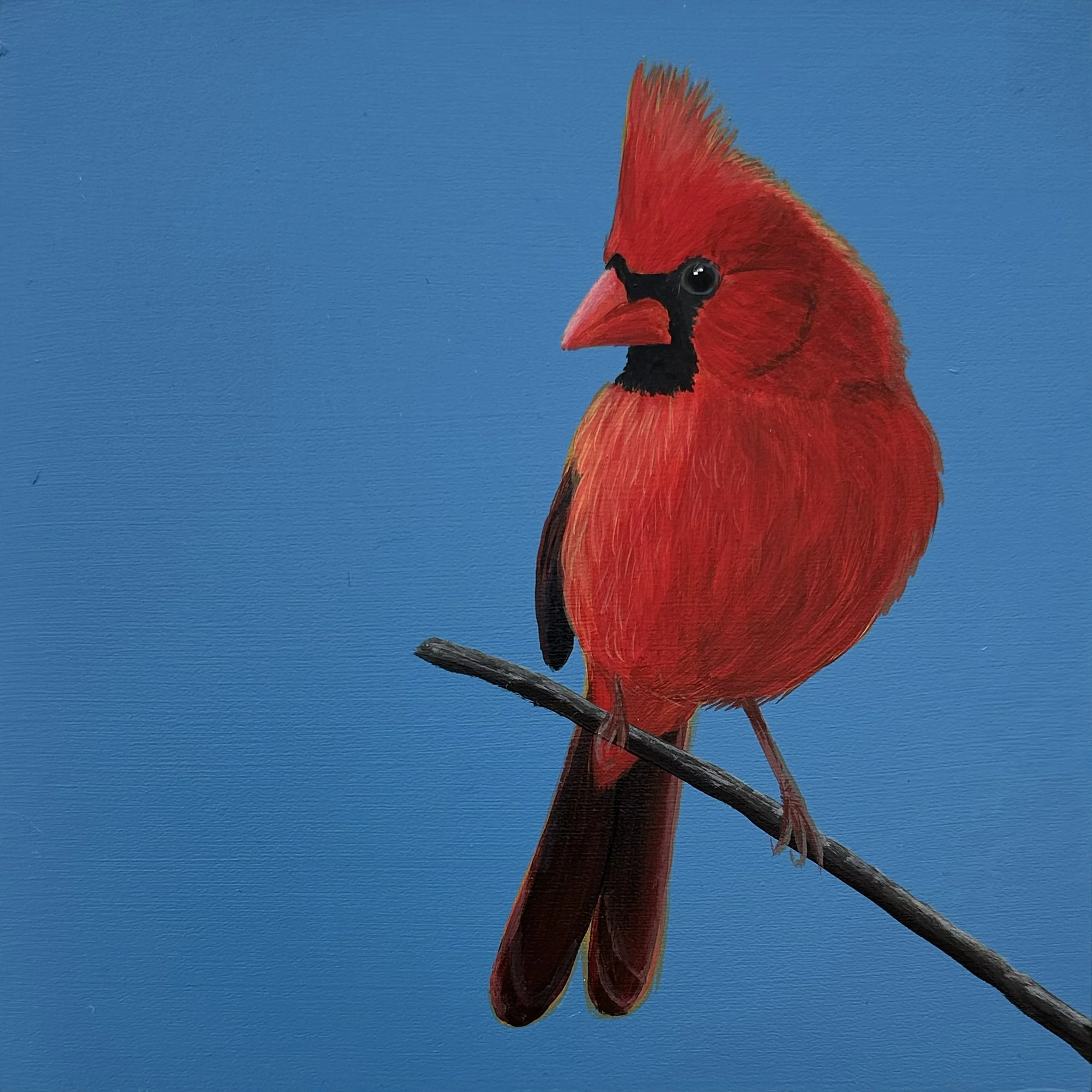 Cardinal On Blues.jpg