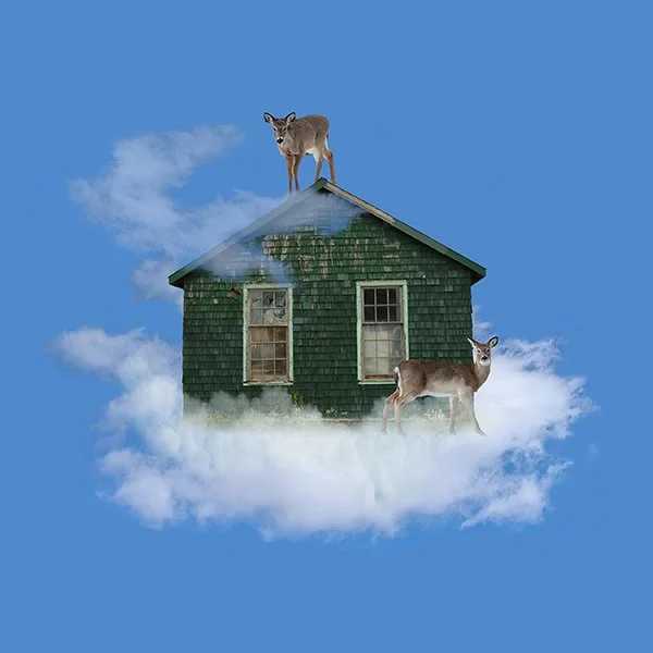 Look Mom, There_s a Deer on the Roof! 8x8 framed to 12x12 $135.jpg