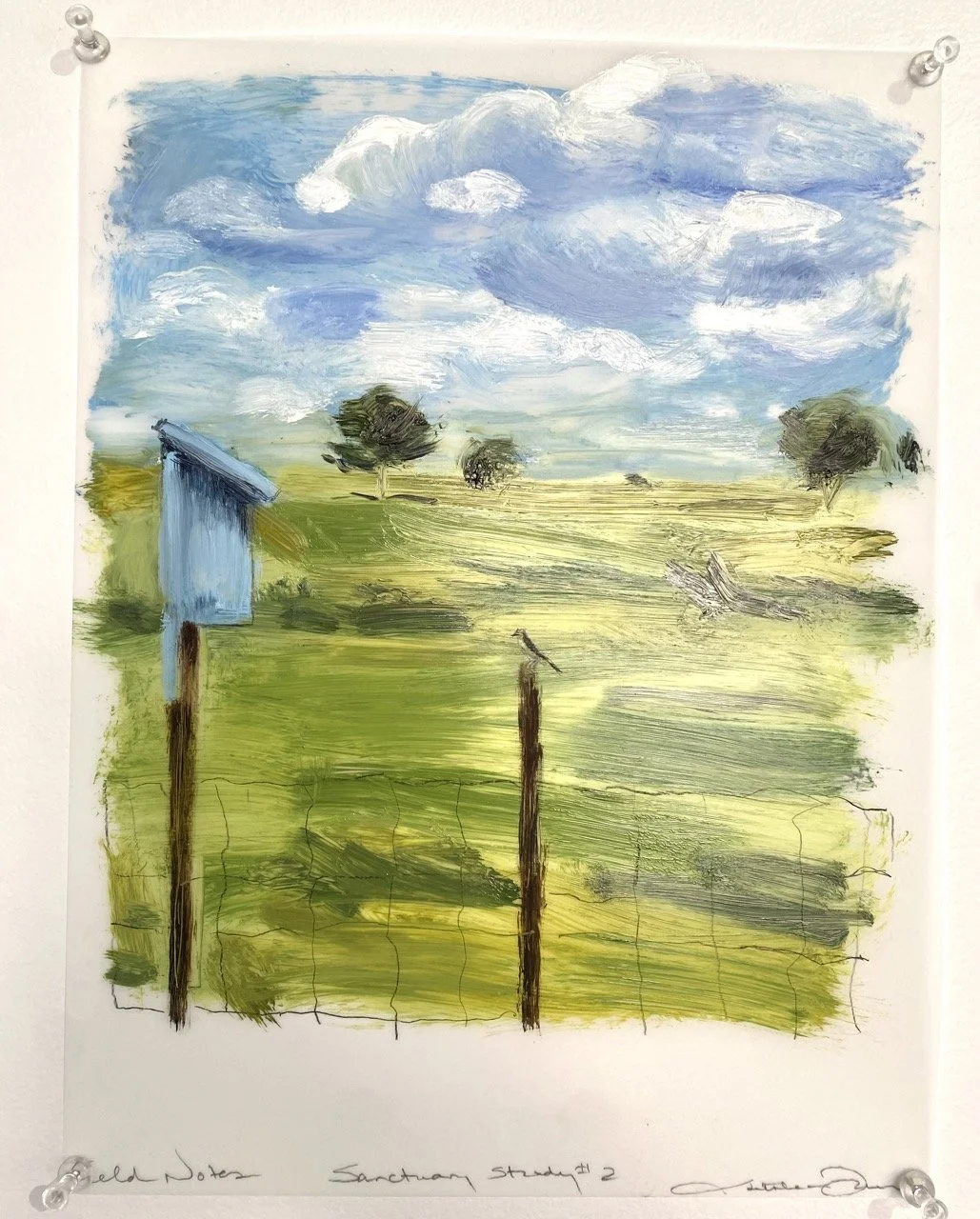 Kathleen Dawson – Sanctuary Study #2