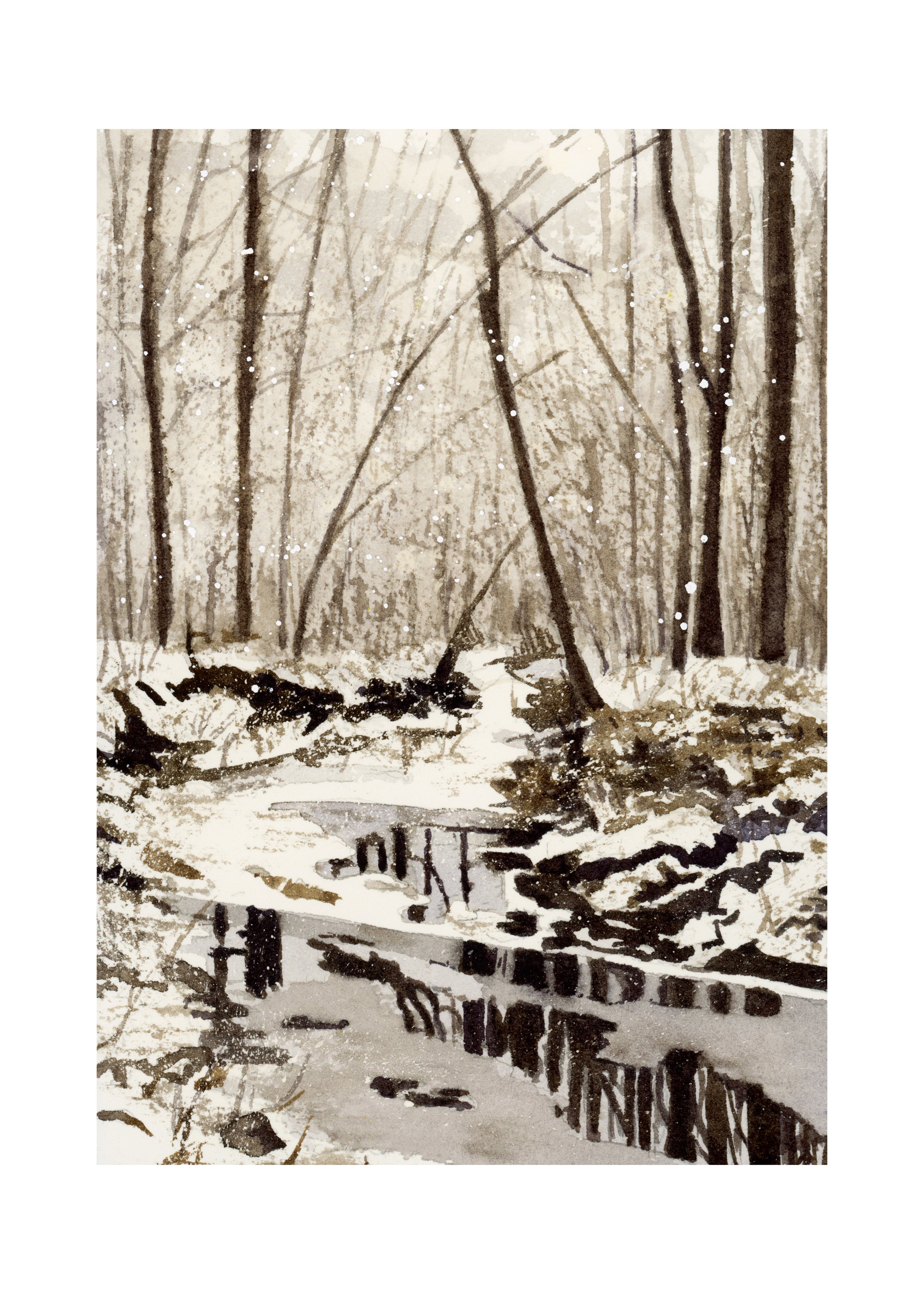 Winter Reflection.jpg