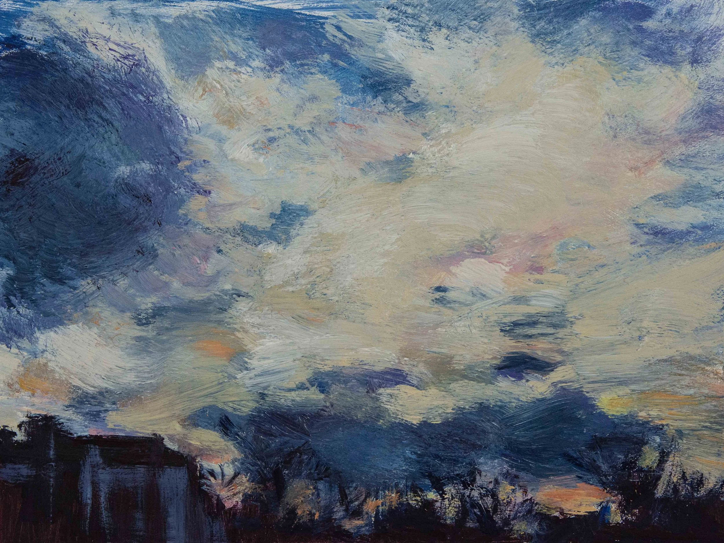 Sky DIaries January #2 - Dawson.jpg