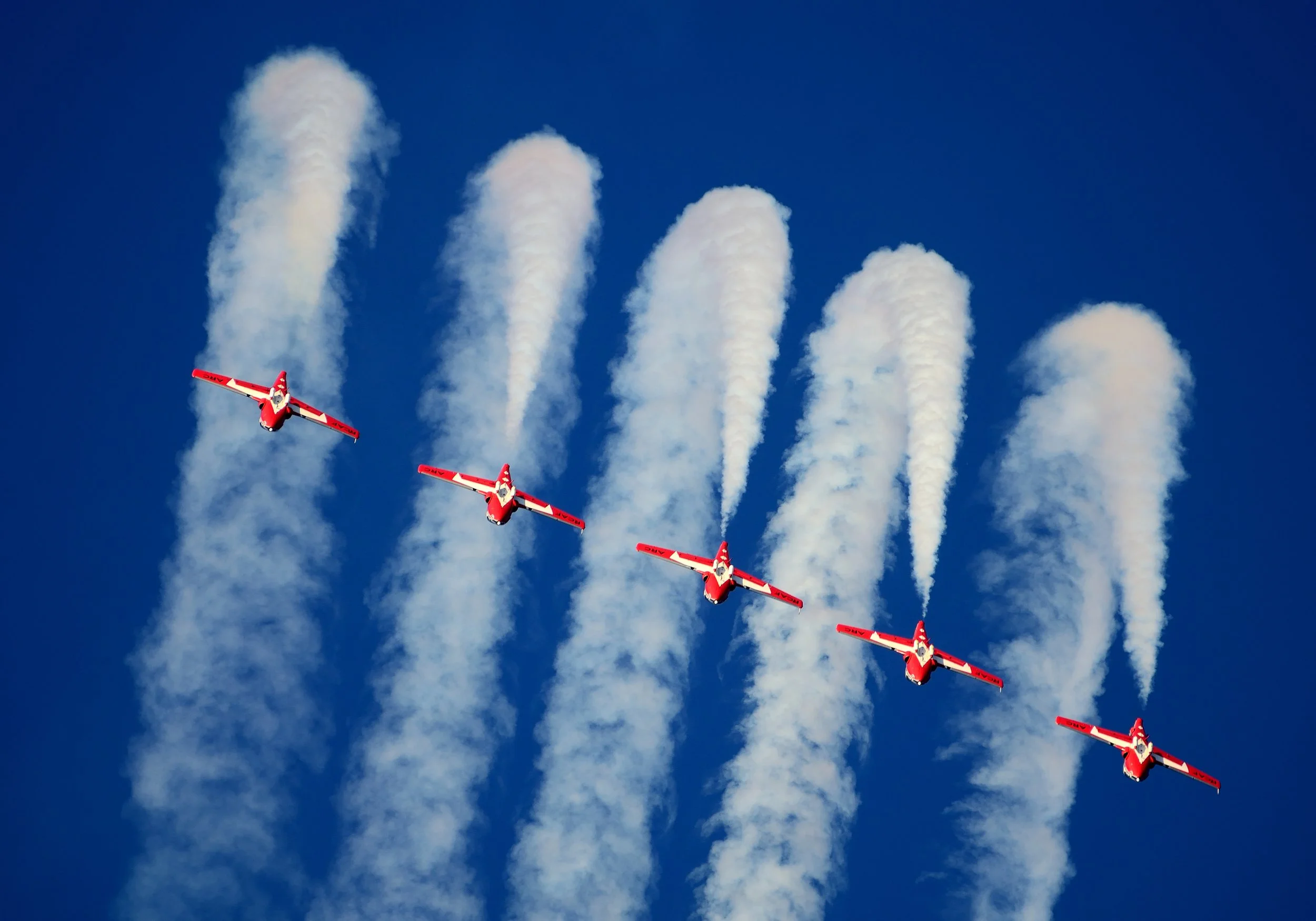 36x48 RCAF Snowbirds $2000.JPG