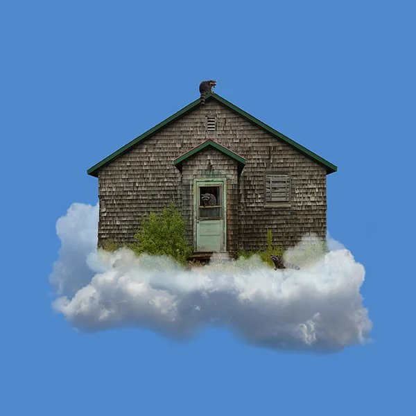 They_re Baaack.... 8x8 framed to 12x12 $135.jpg