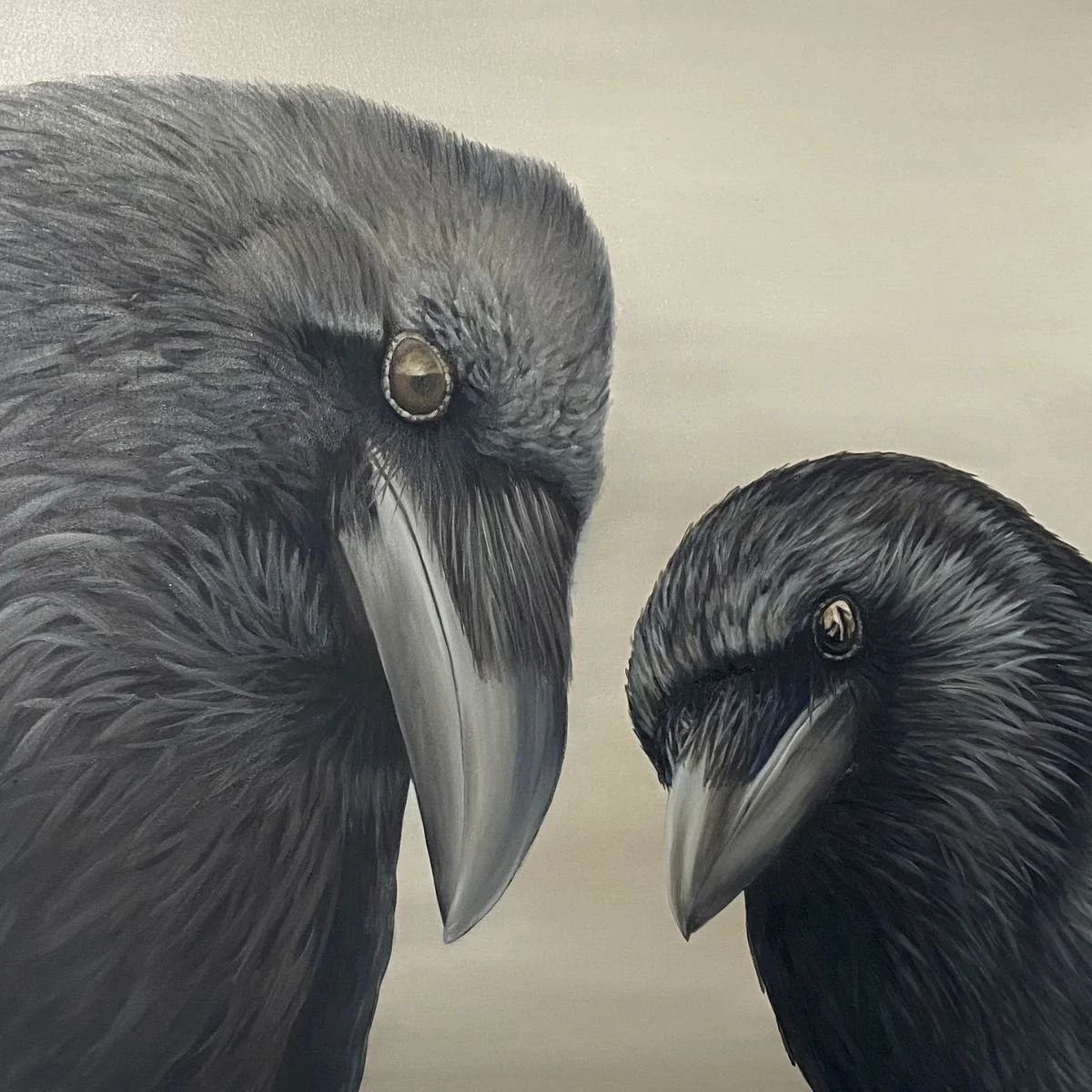 Matter of  o Pinion.jpg