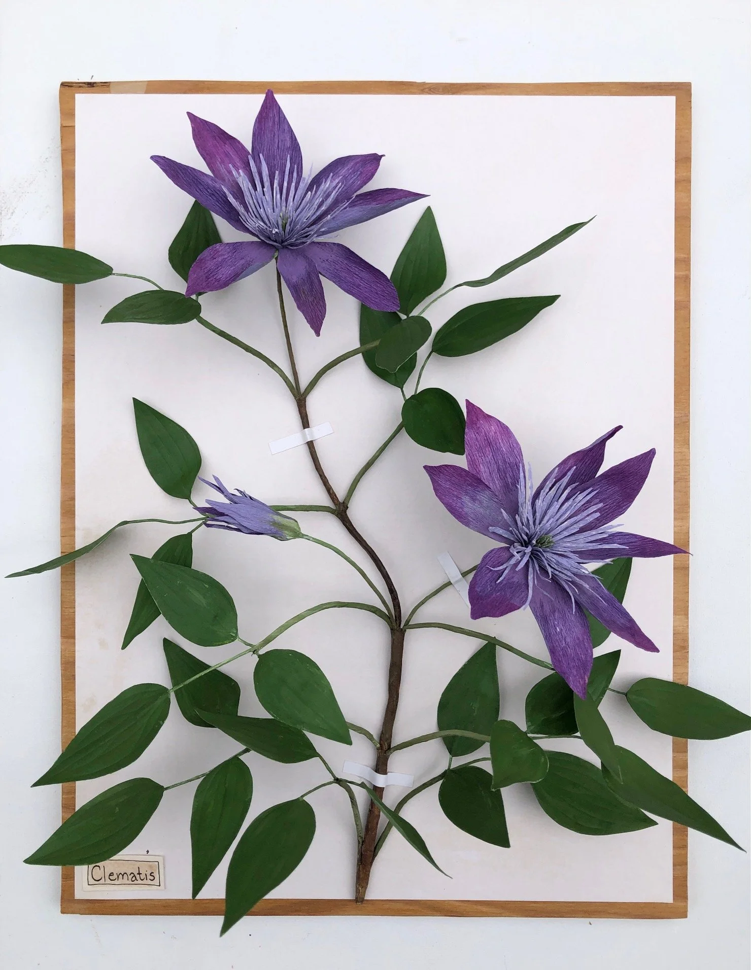 Clematis_16x12_PaperSculpture_$375.jpeg