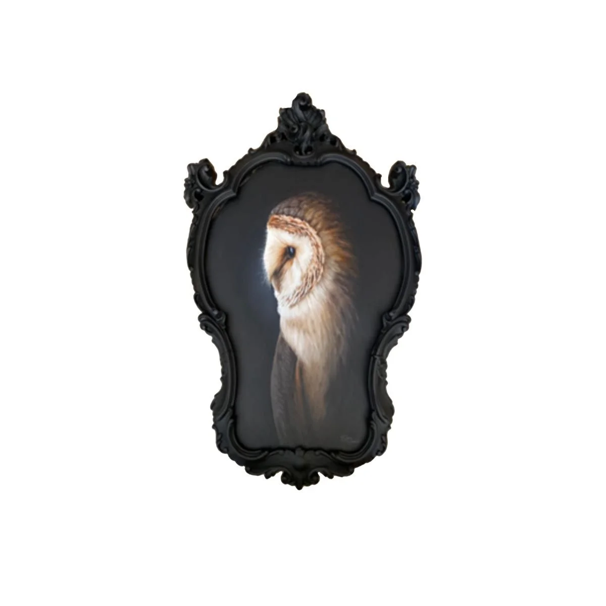 Portrait Of A Barn Owl - 20x 30.jpg