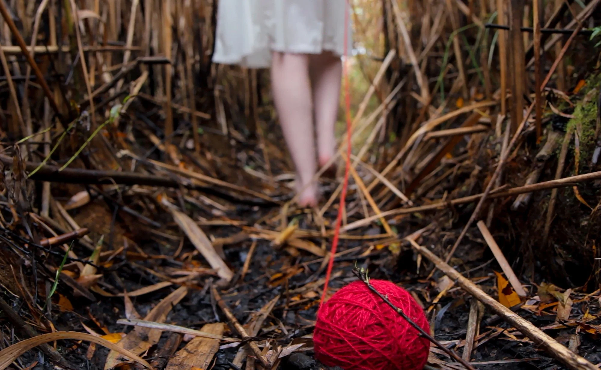 Margaretha - Following Her Way