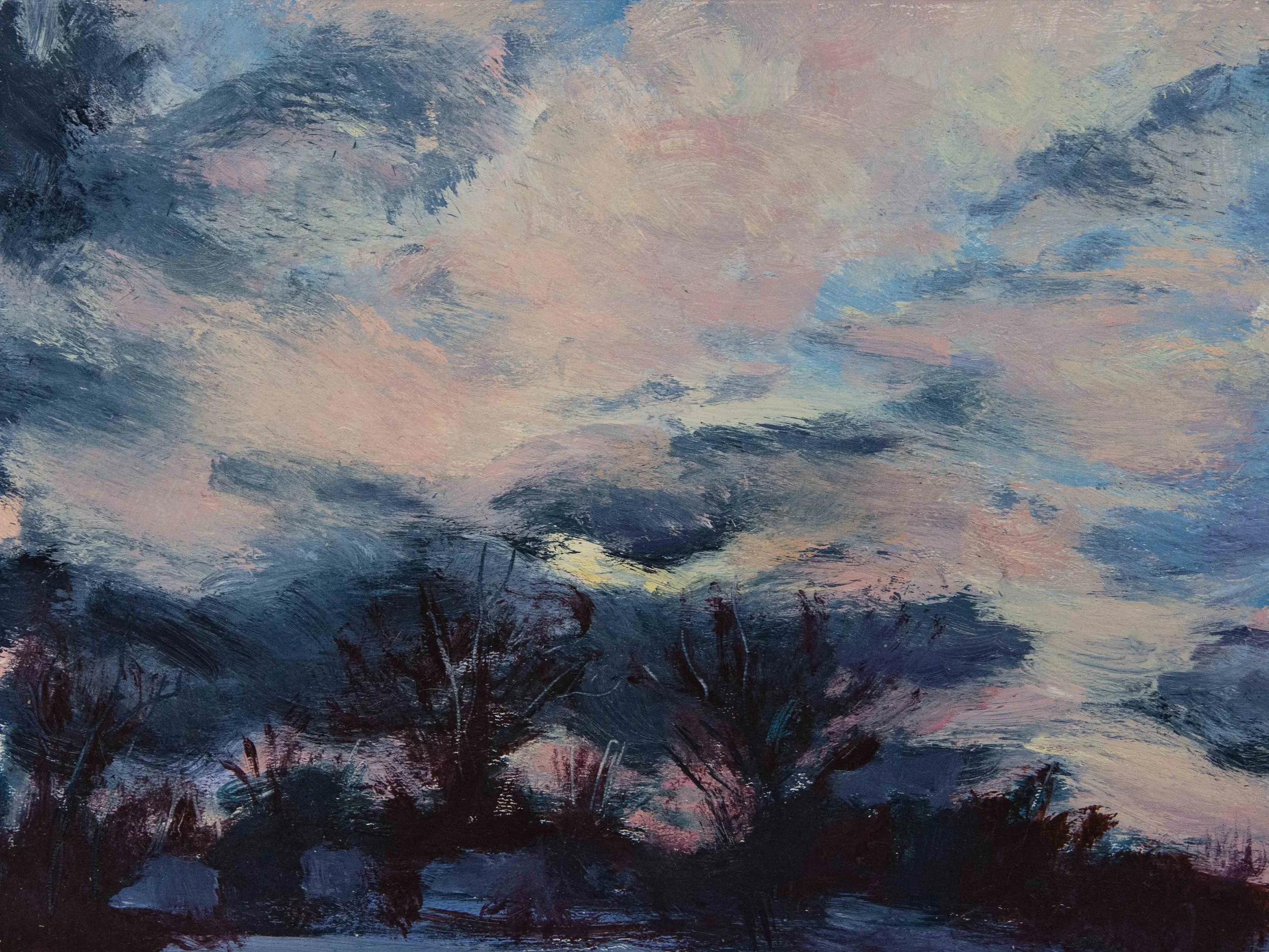 Sky DIaries January #3 - Dawson.jpg
