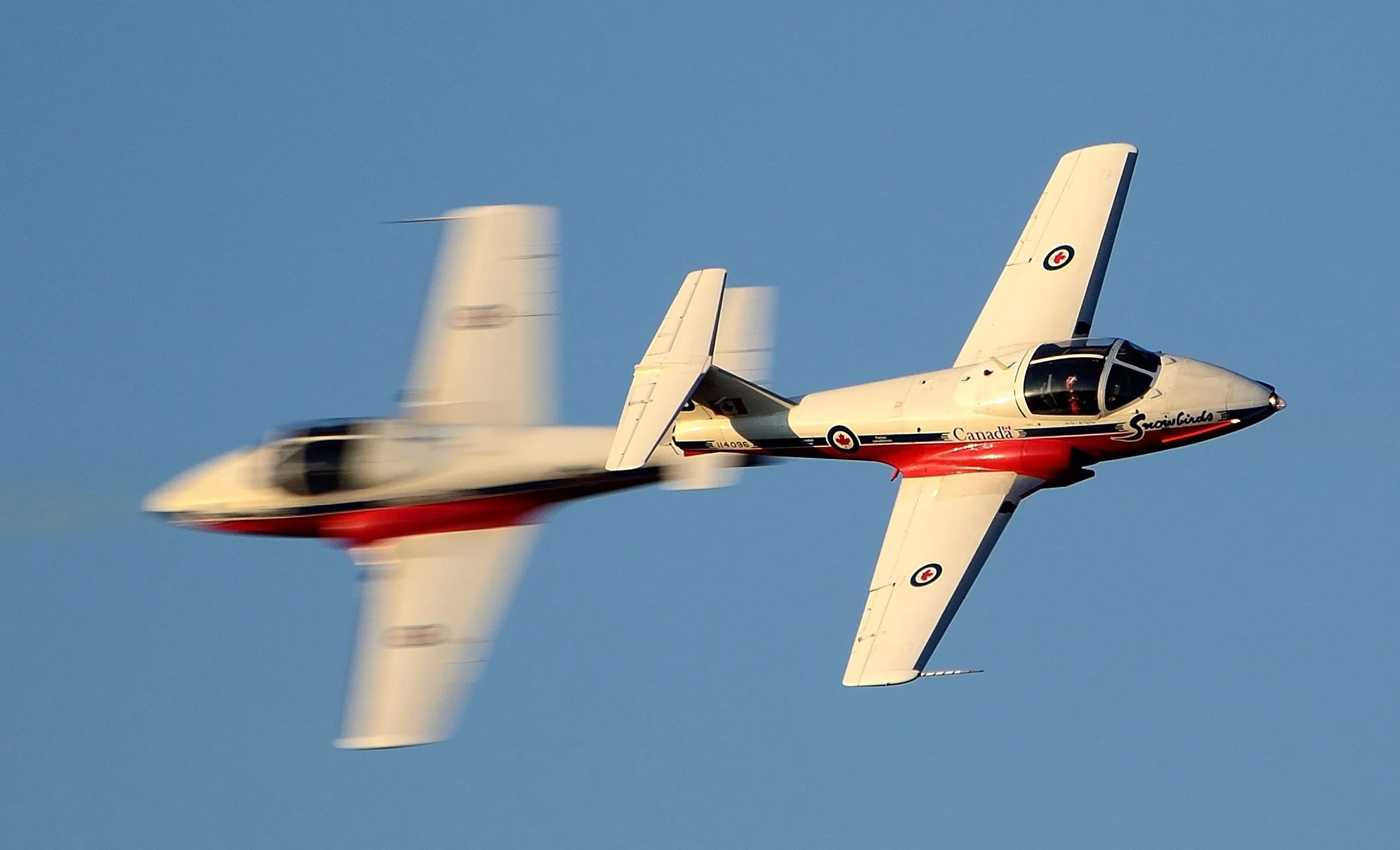 16x24 Snowbird Cross 1 $375.JPG