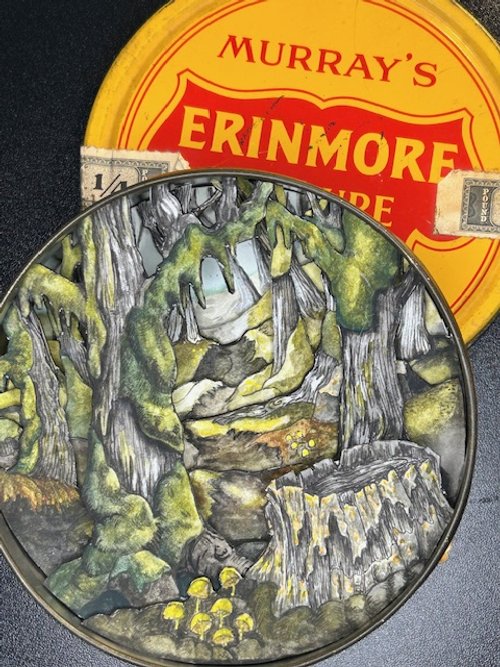 Mossy Woods Price - $200 12.5 cm diameter - 3.5 cm high.jpg