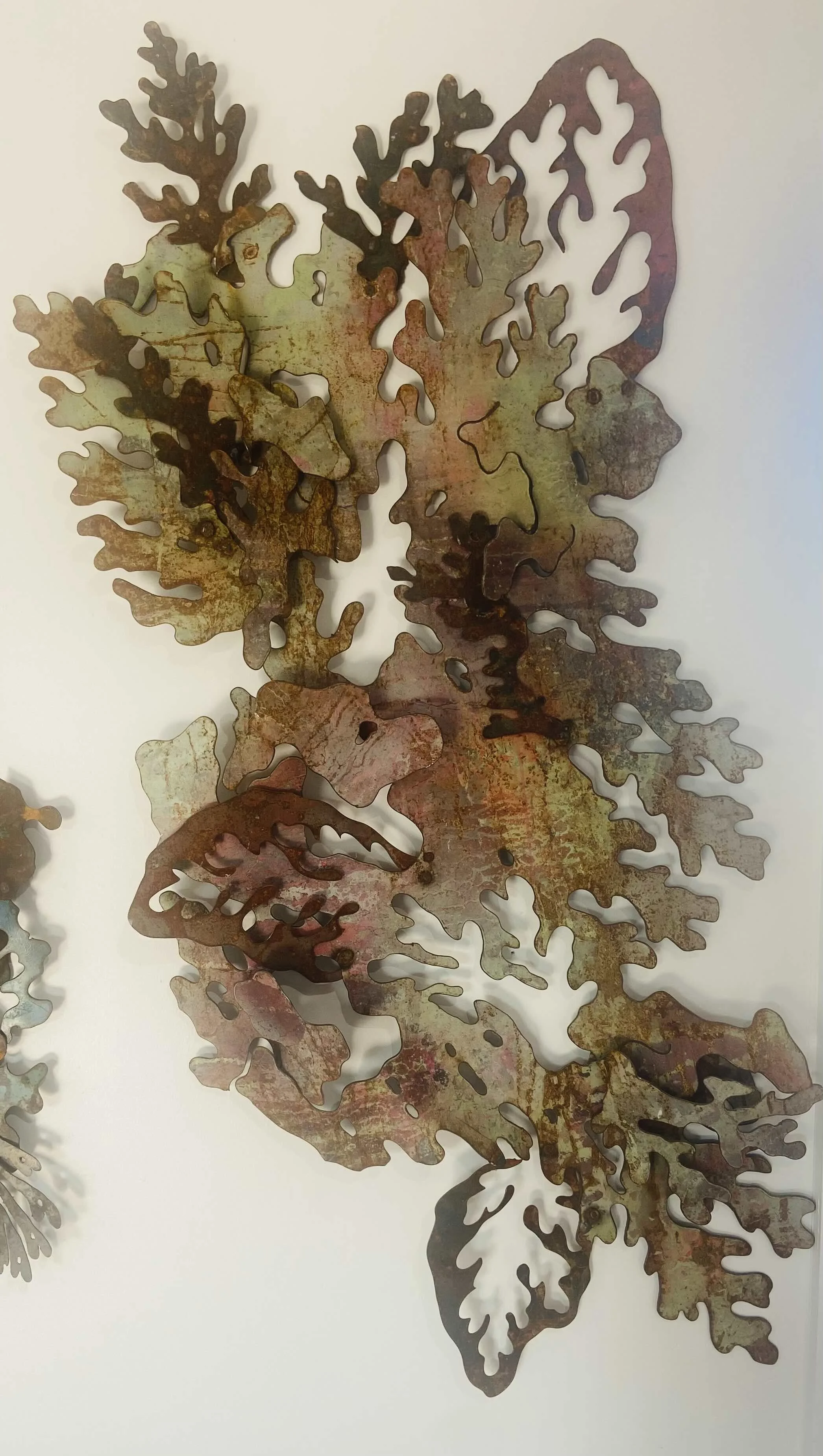 Gilbart- Lichen #41