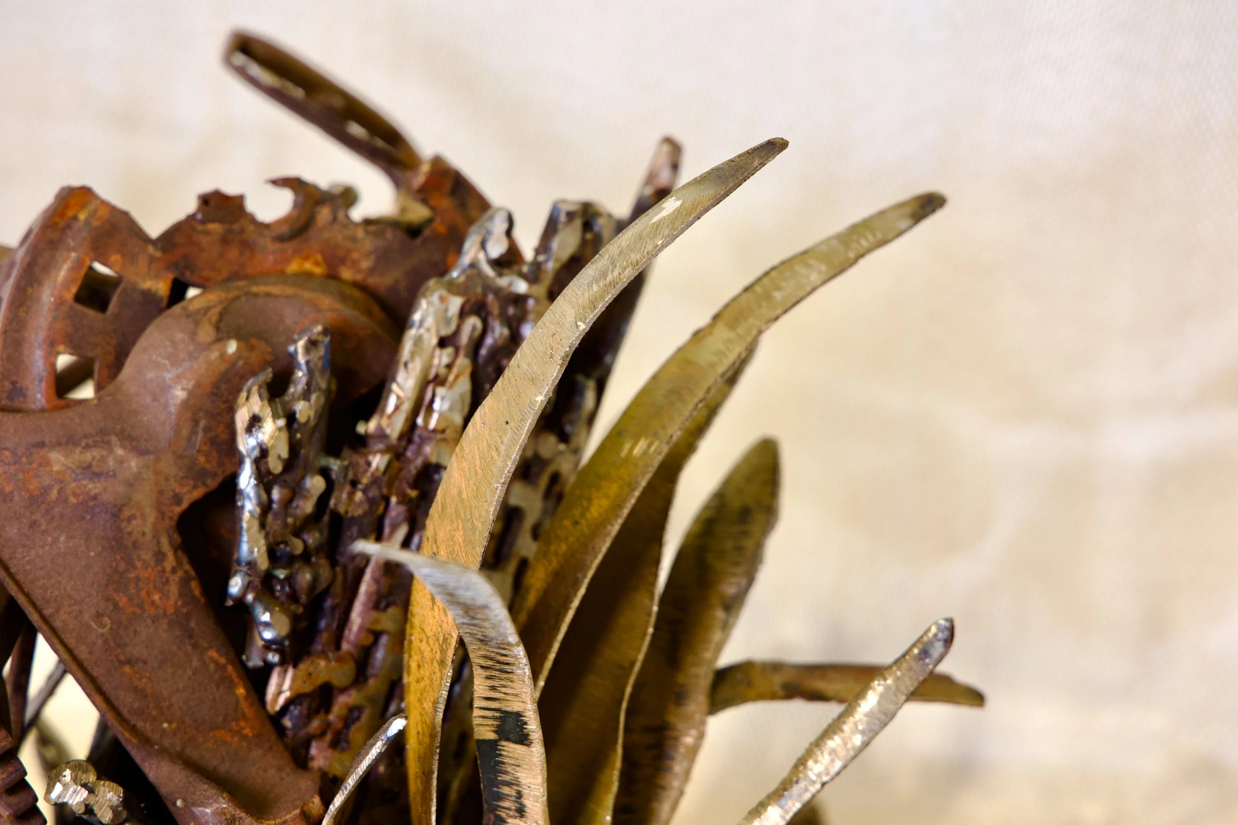 Rutenberg - Complete Edaphoecotropism - 10_ x 11_ x 13_ - $1,100.jpeg