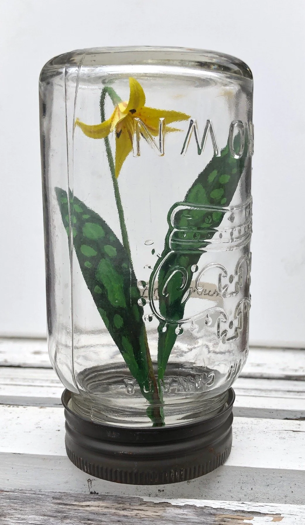 Erithronium_americanum_7_PaperSculpturein Jar_$120.jpeg