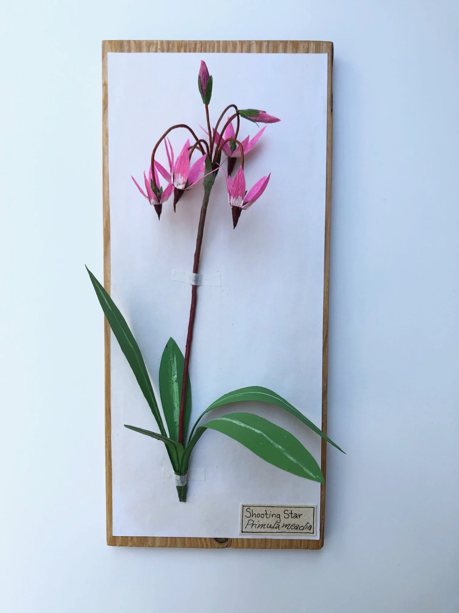 ShootingStar_12x5_PaperSculpture_$135.jpeg