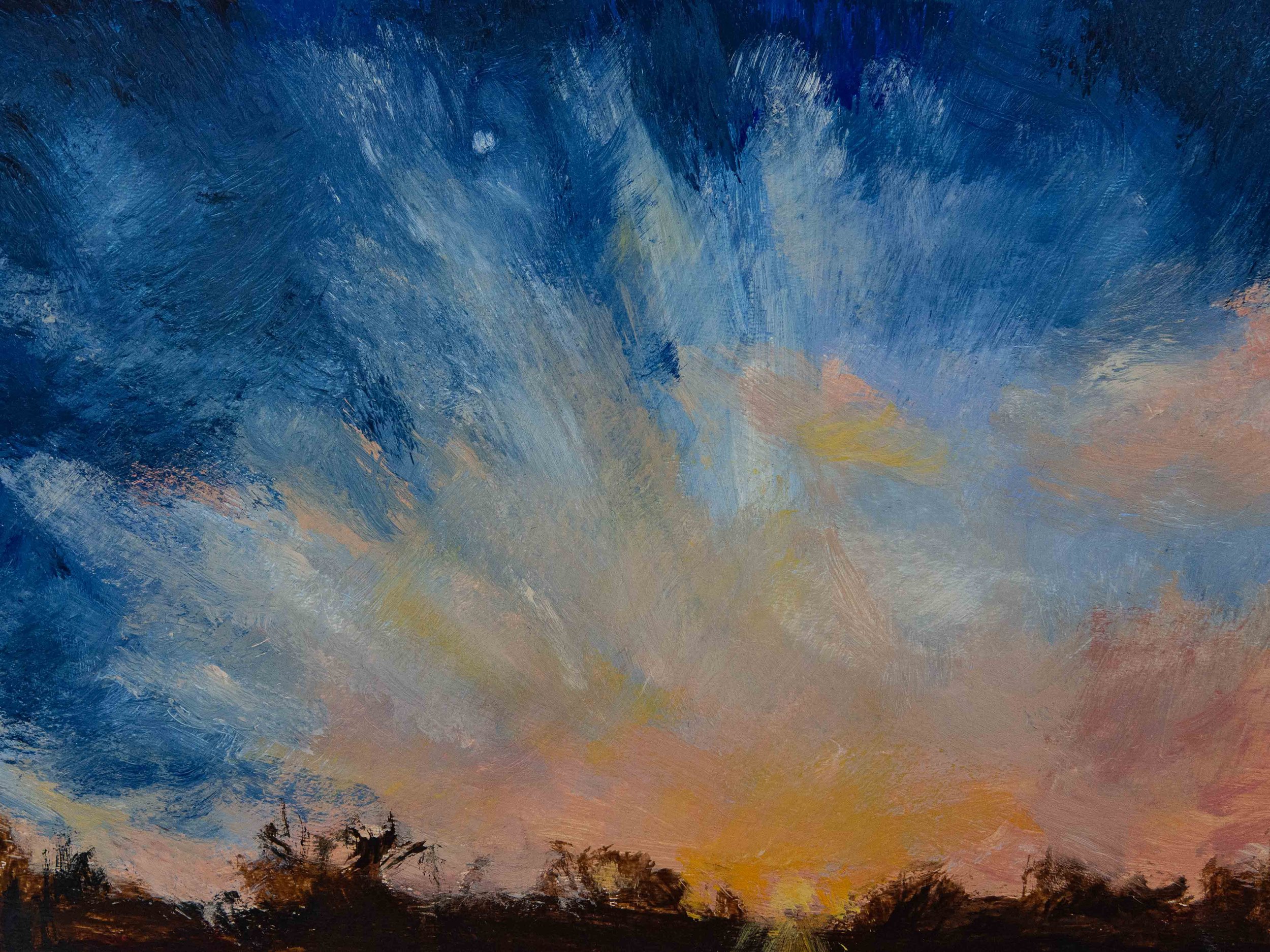 Sky DIaries February #1 - Dawson.jpg
