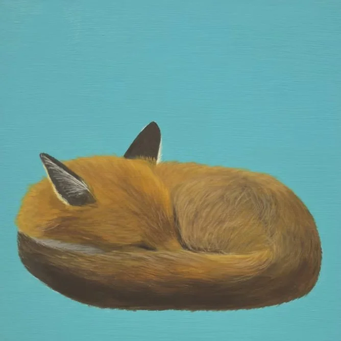 Arwynn Davey - Sleepy Fox on Turquoise