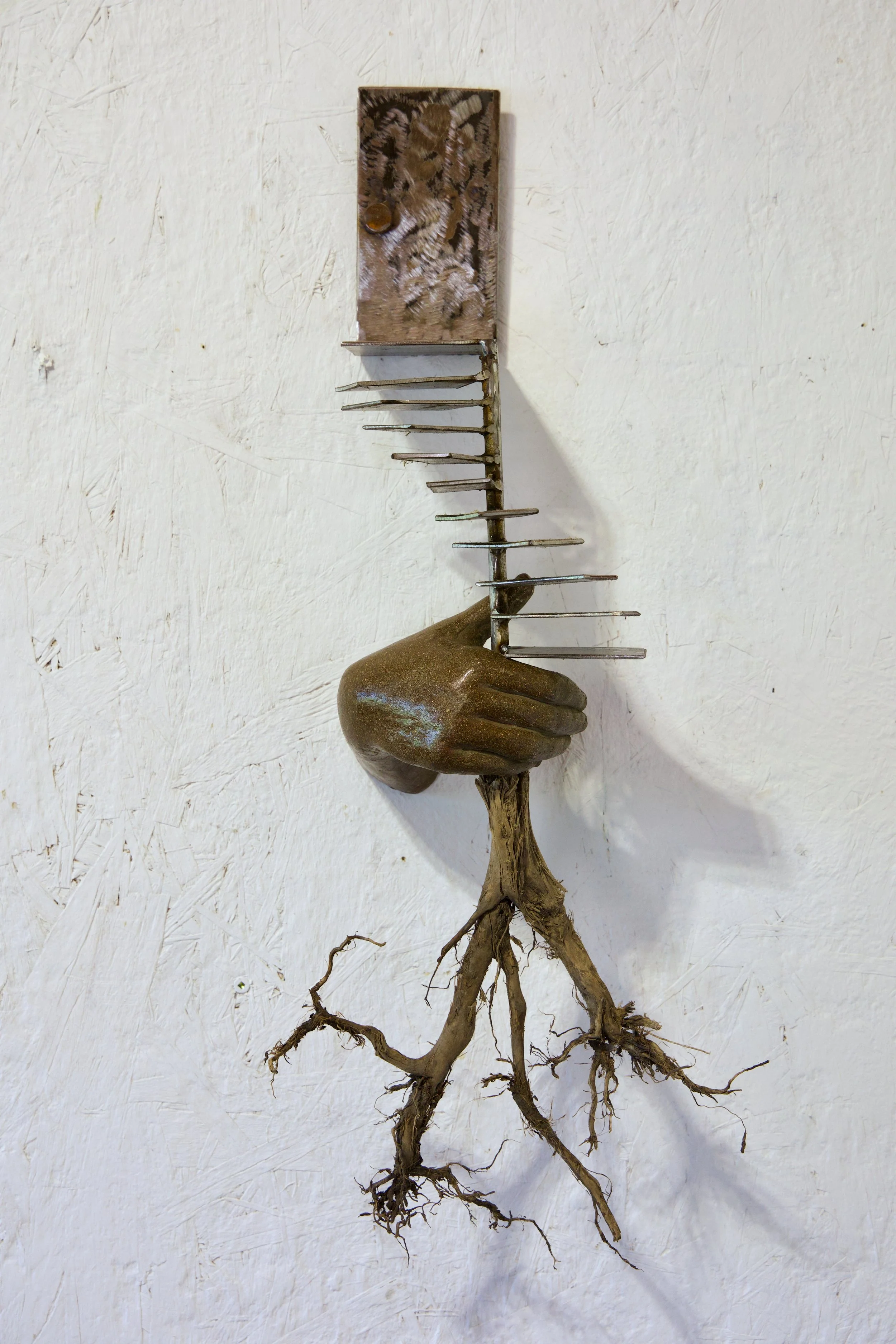 Rutenberg -Rooted Ascent- 24 x 17 x 11- $950.jpeg