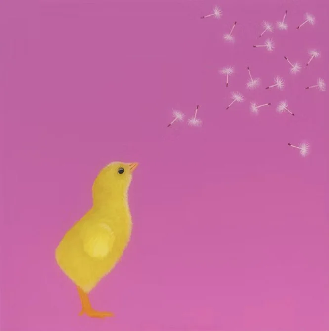 Arwynn Davey - Wishing Chick