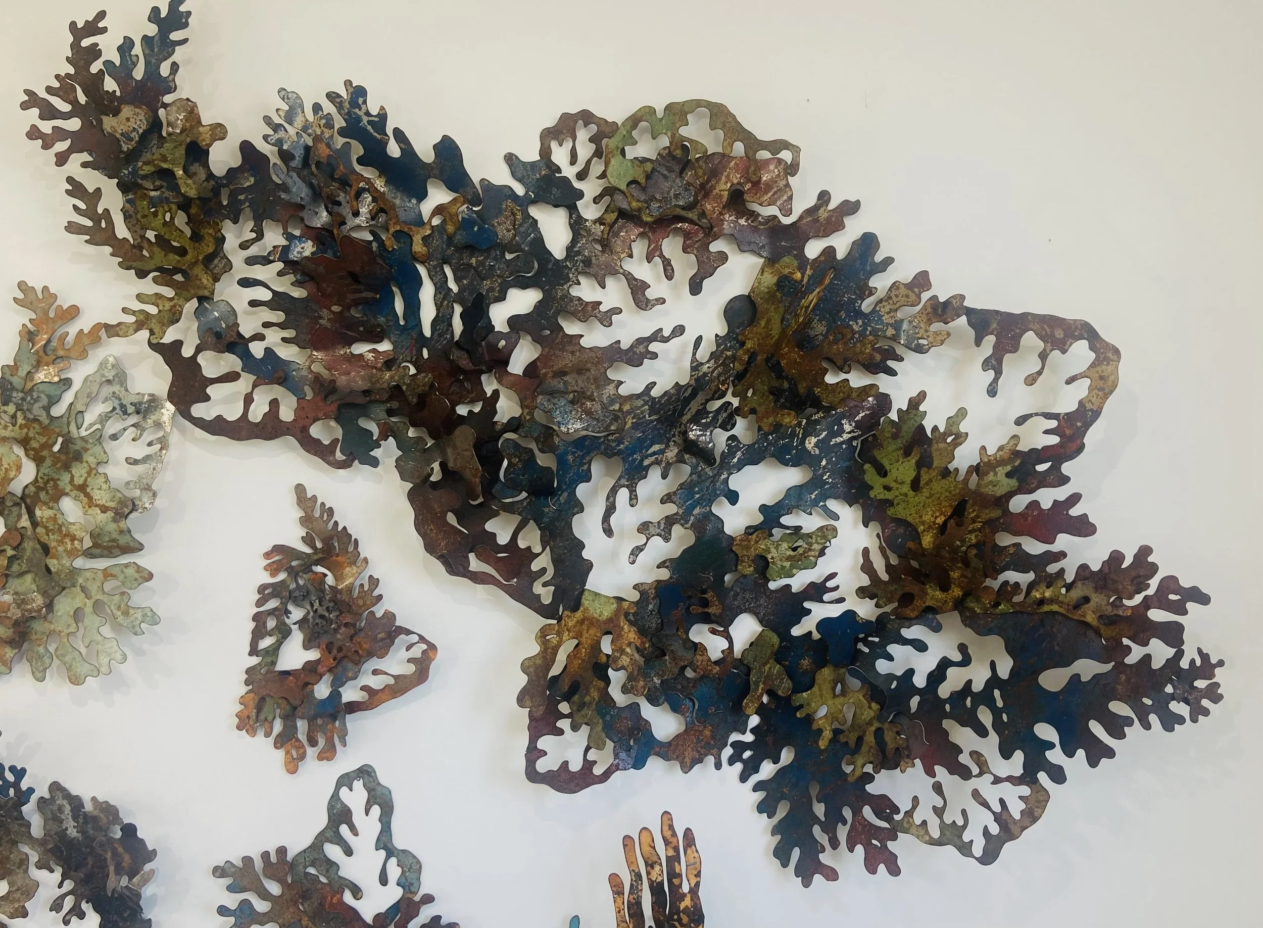 Gilbart- Lichen #46