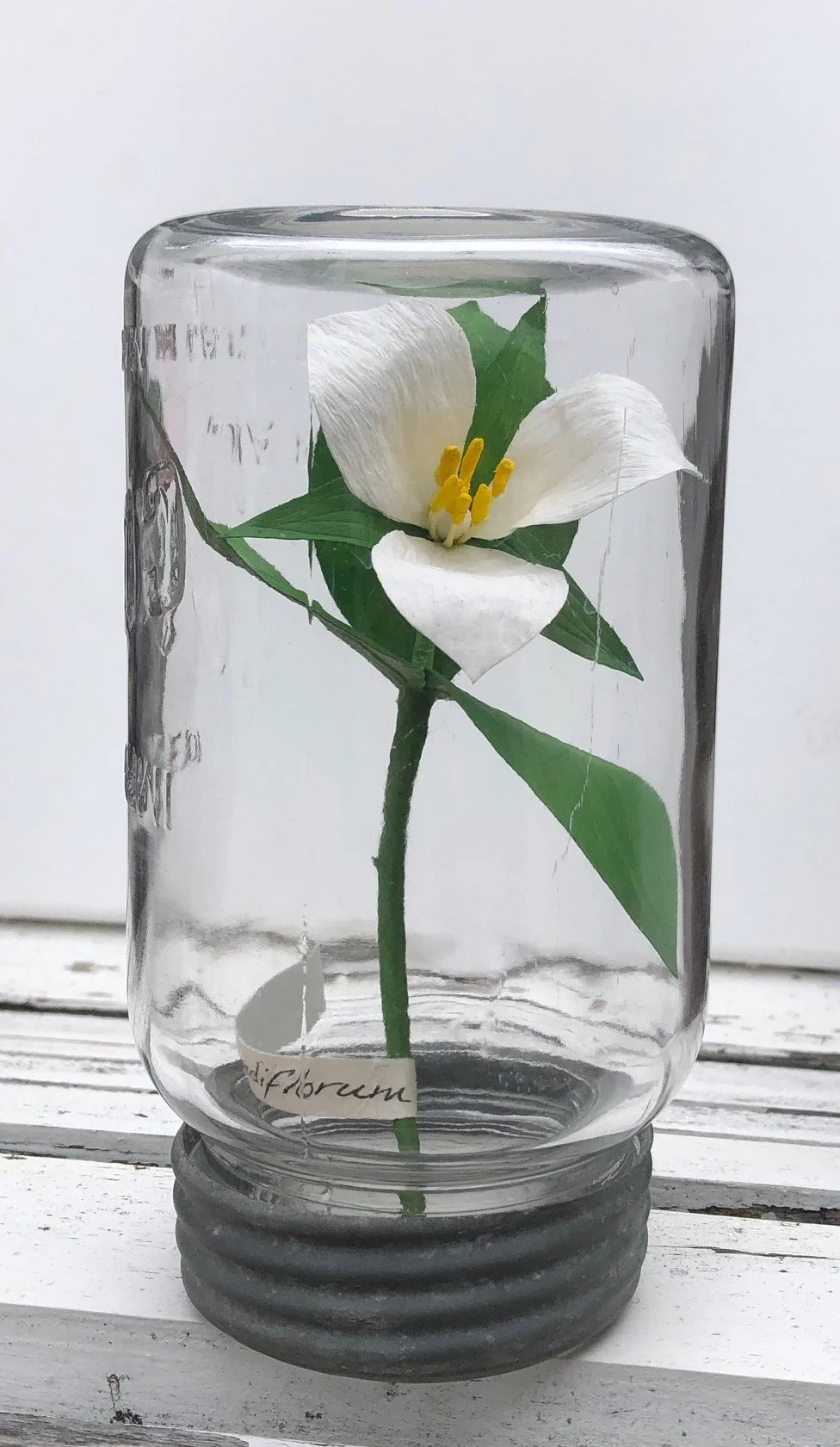 Trillium_grandiflorum_7_PaperSculptureinJar_$120.jpeg