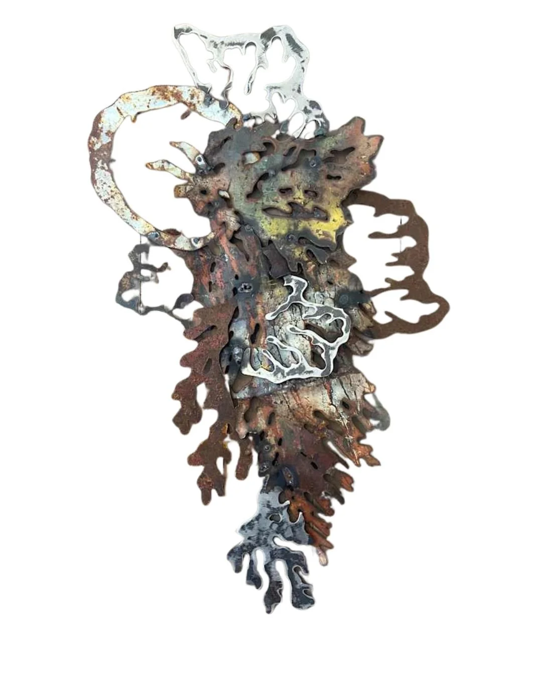 Gilbart- Lichen #13