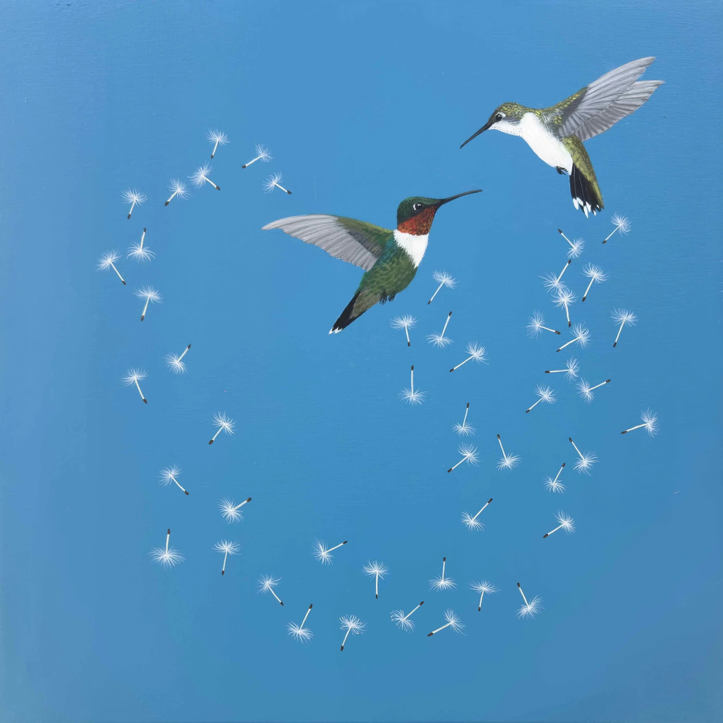 Arwynn Davey - Whirlwind Courtship