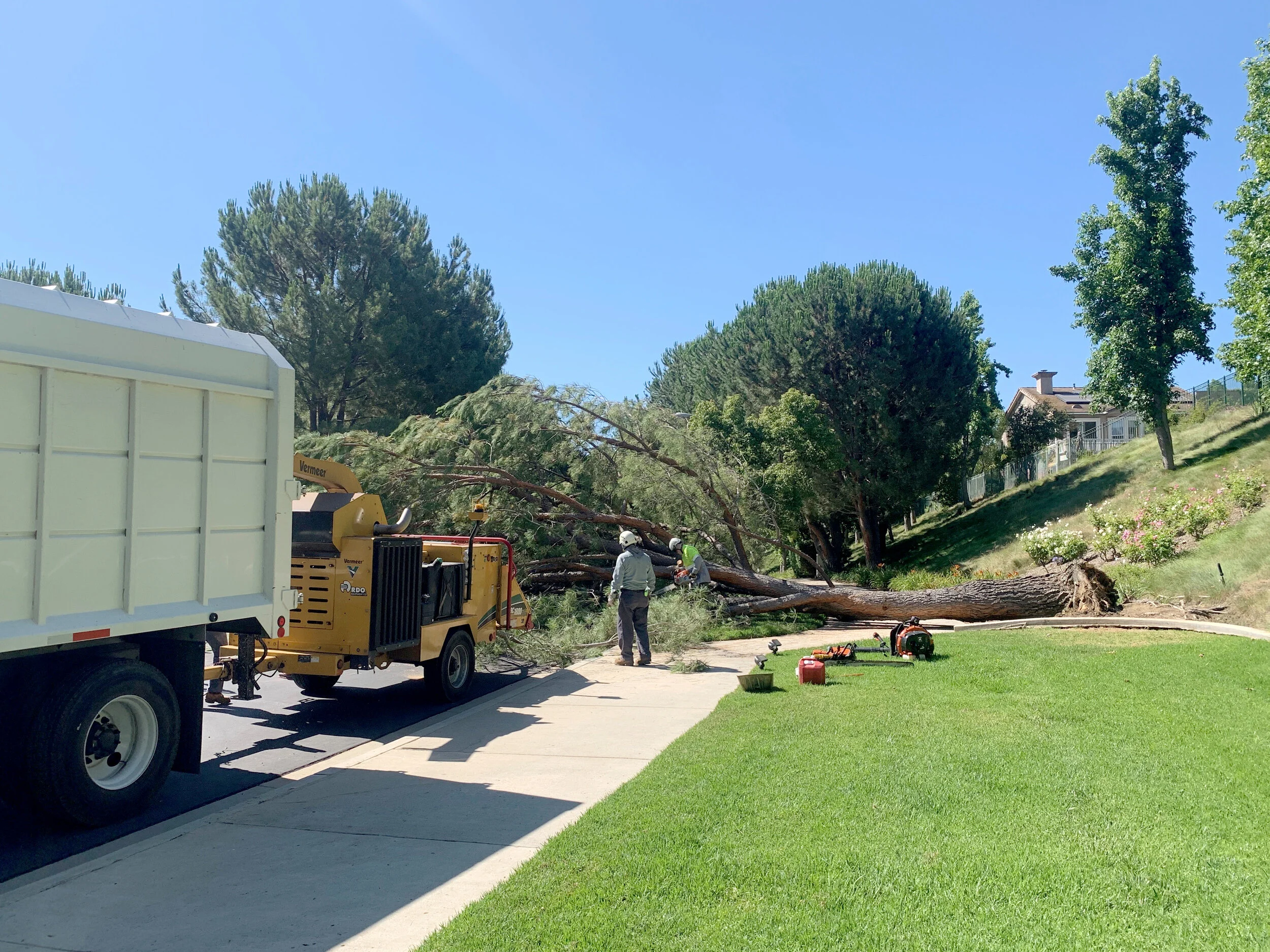 Emergency Tree Service — Legacy Tree Care