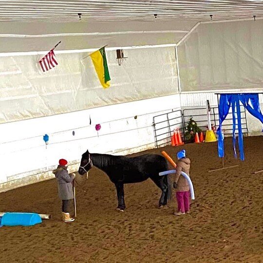 I welcomed the New Year by taking my young horse to a groundwork and obstacle clinic. It has been awhile since I have had a young horse at this stage, she is started, very smart and willing. When we walked into the arena with all the obstacles her ey