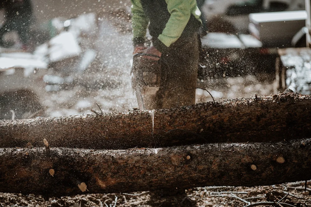 Beetle Kill Tree Guys