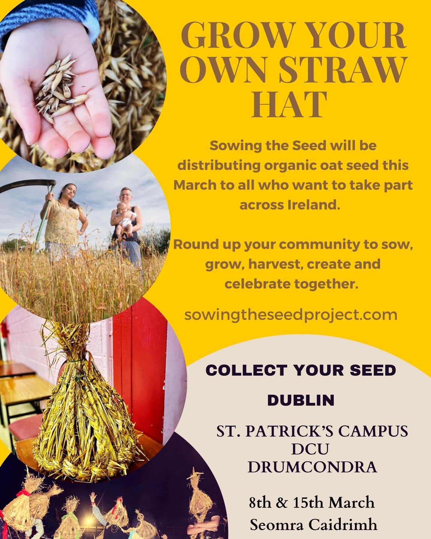 DUBLIN - Collect your organic oat seed and grow your own Mummer hat. I&rsquo;ll be distributing seed to students, staff &amp; anyone else that wants some at St. Patrick&rsquo;s Campus Drumcondra on the 8th &amp; 15th March. You need a cup of oats for