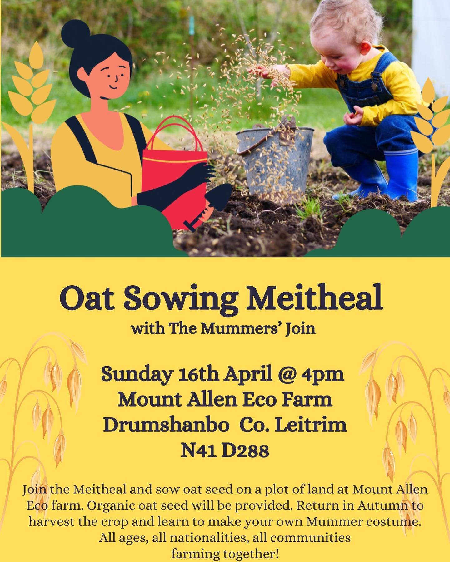 Come sow oat seed together tomorrow on Mount Allen Eco farm on the shores of Lough Allen Co. Leitrim as part of The Mummers&rsquo; Join. There&rsquo;ll be music &amp; dancing and a guided walk by farm owner Tommy Earley. 

All events as part of The M