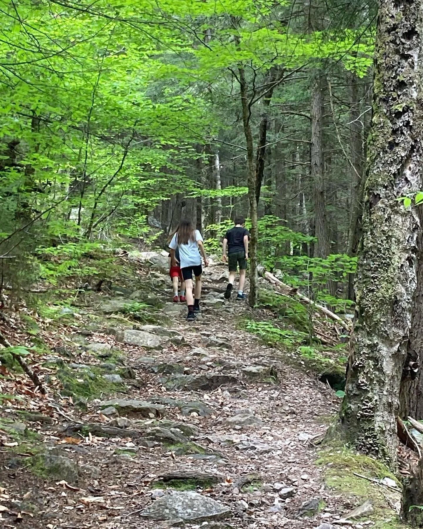 #Repost @jjcunniff
・・・
First hike in our new VT spot - beautiful scenery, weird fungi, wood toads, and ice caves that were freezing cold from the glacier under the rocks!! Less than a 10 minutes drive from the I.B. Munson house. #vermontvacation #wal