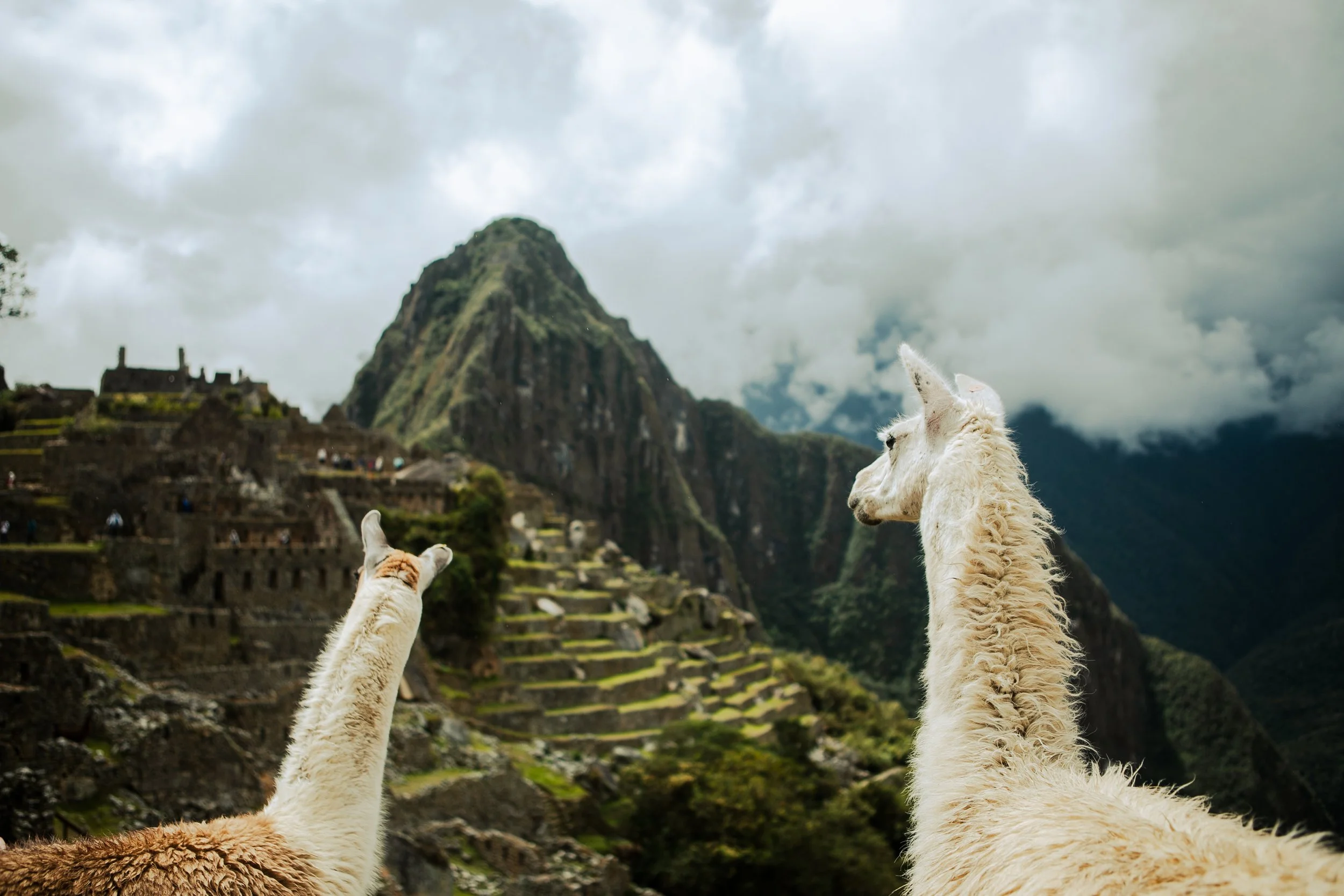 Machu Pichu, Peru