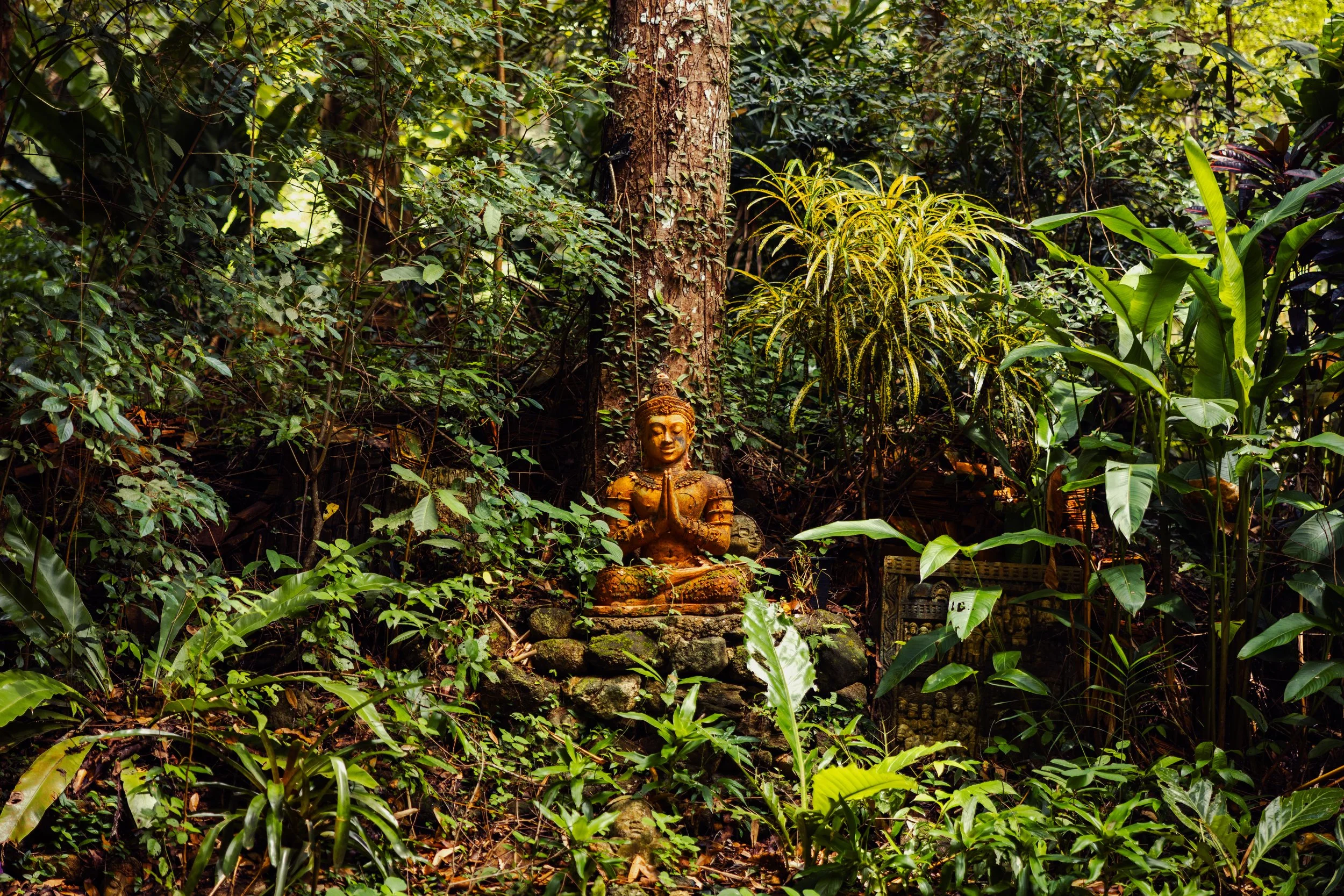 #22 - 'Hidden Peace' - Mountains of Chiang Mai, Thailand, October