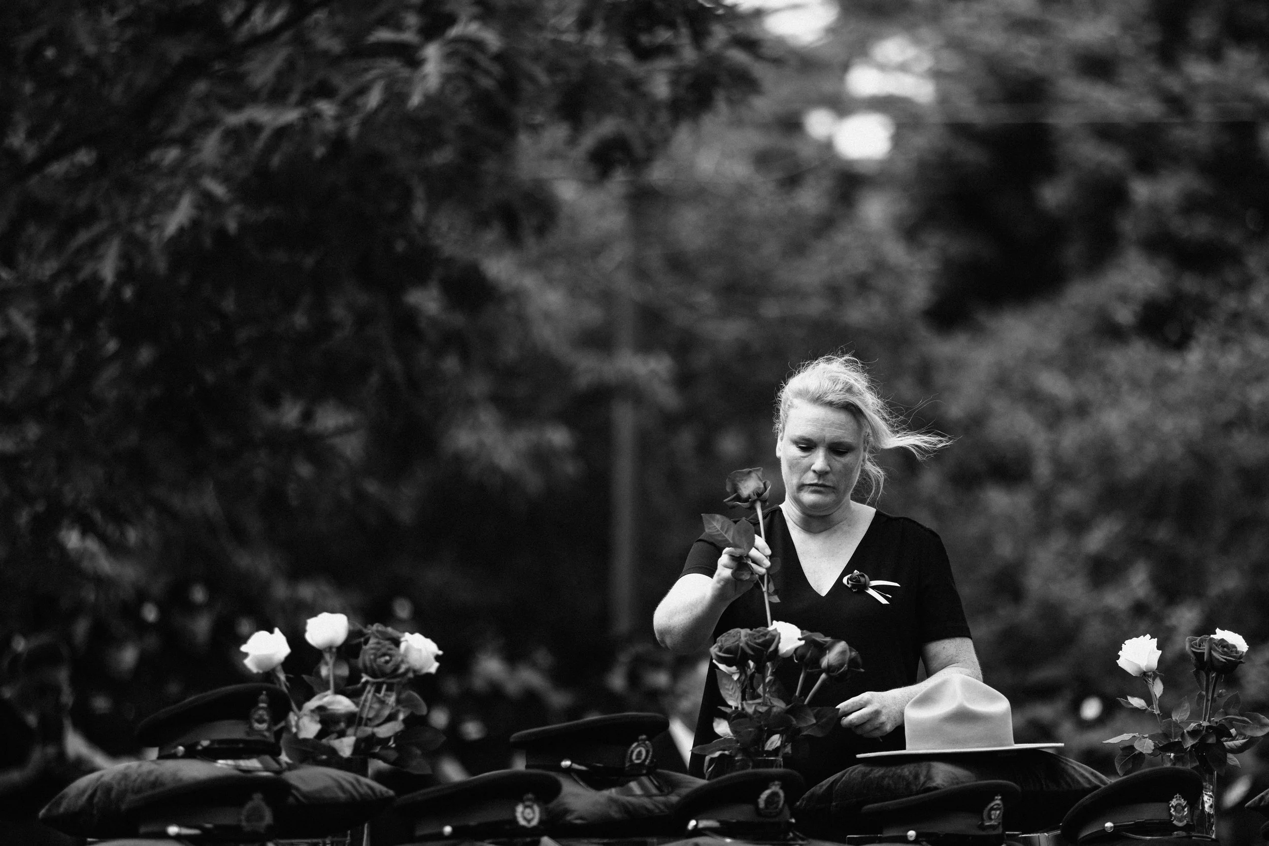 #44 - 'Memorial Rose' - Toronto, June