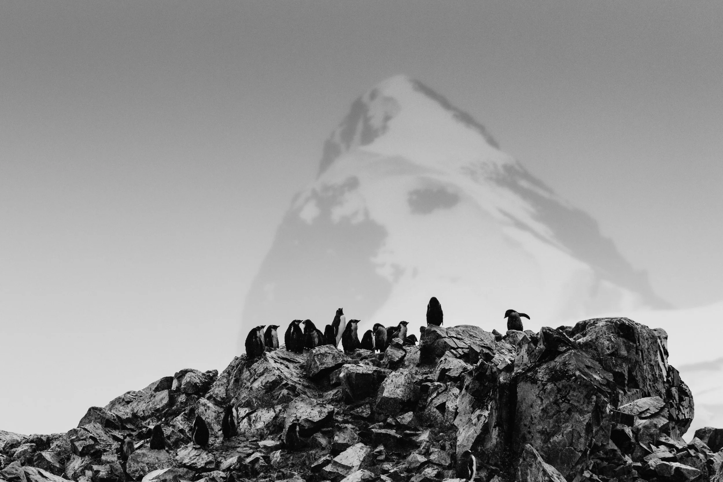 Antarctica