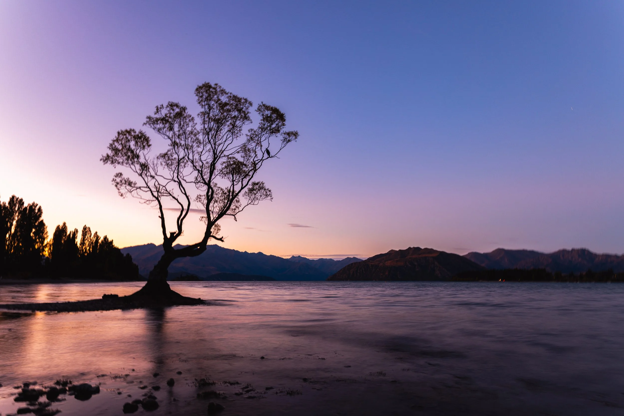Wanaka, New Zealand