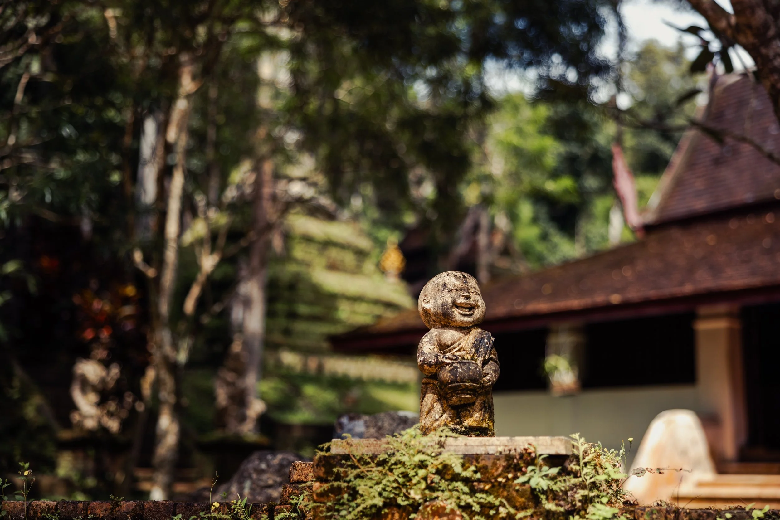 #50 - 'Happy Buddha' - Mountains of Chiang Mai, Thailand