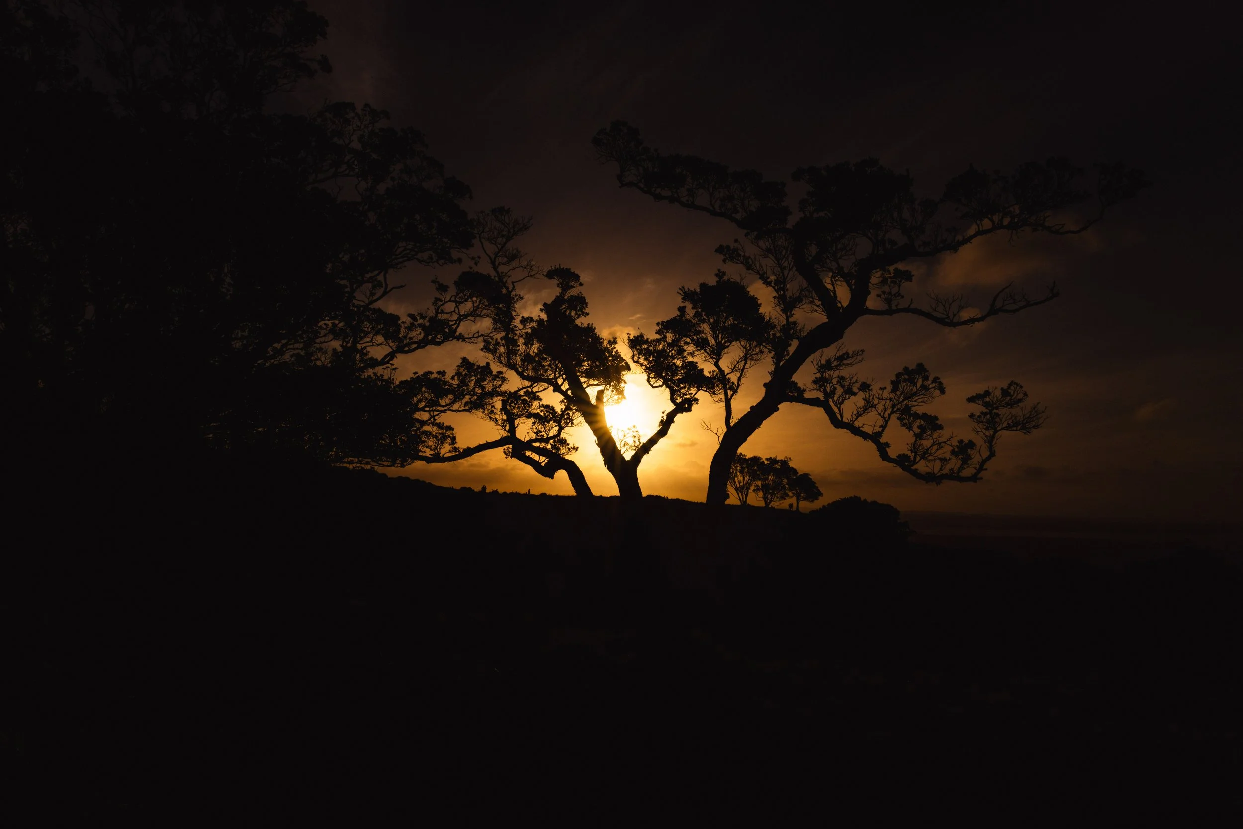 Auckland, New Zealand