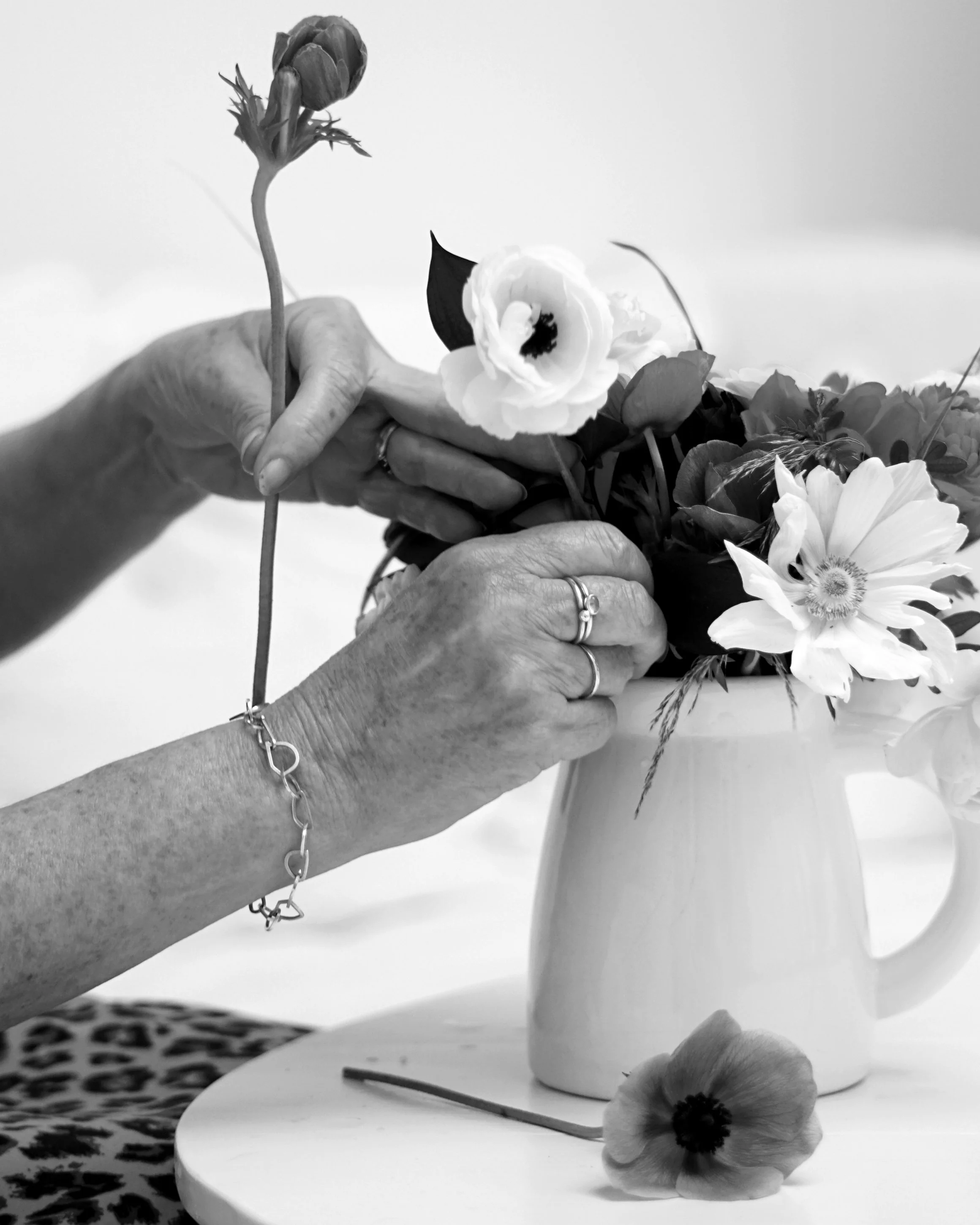 DSC06452 copy crop copy.jpg