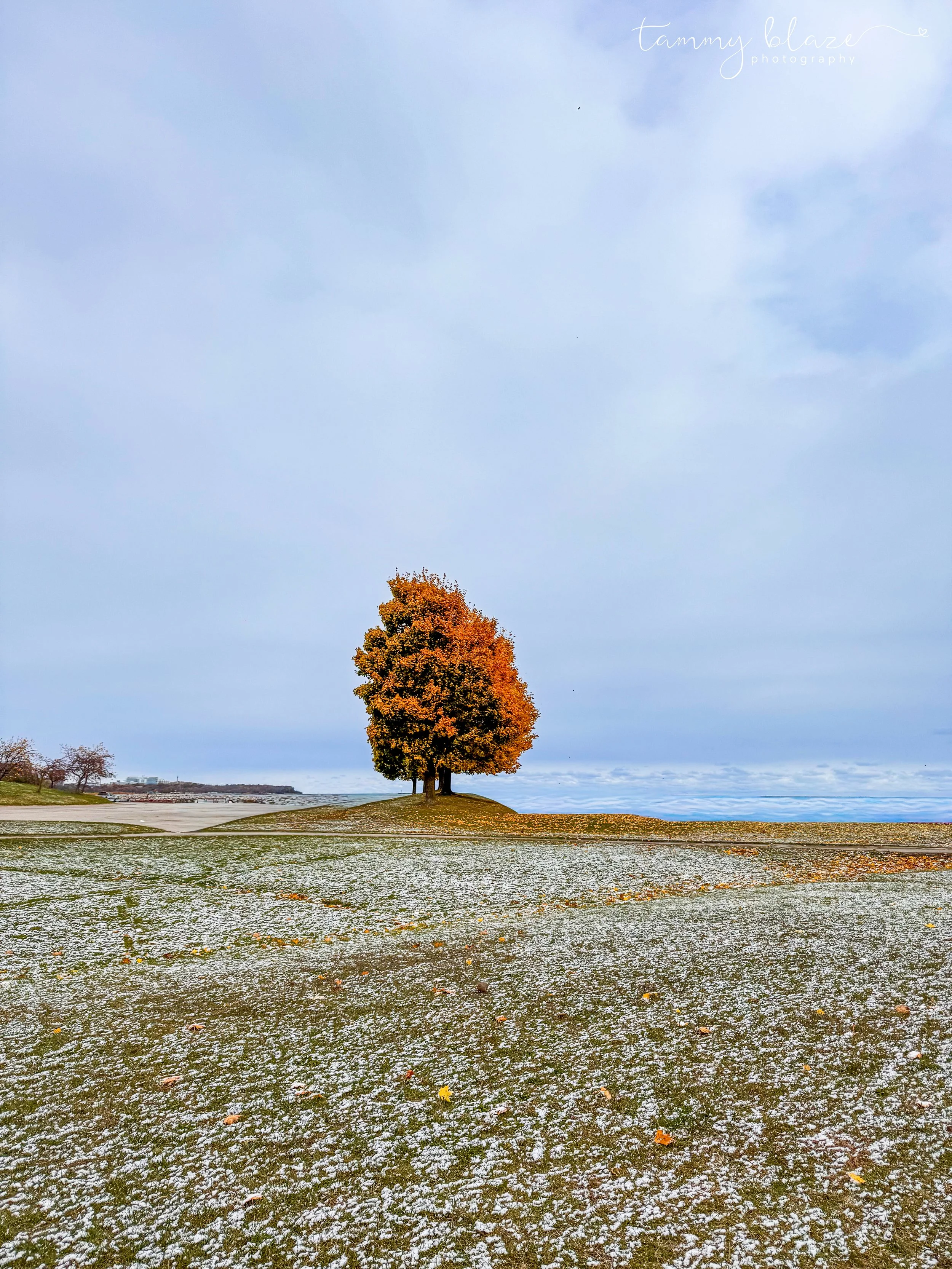 when a moment speaks #1 - 2025