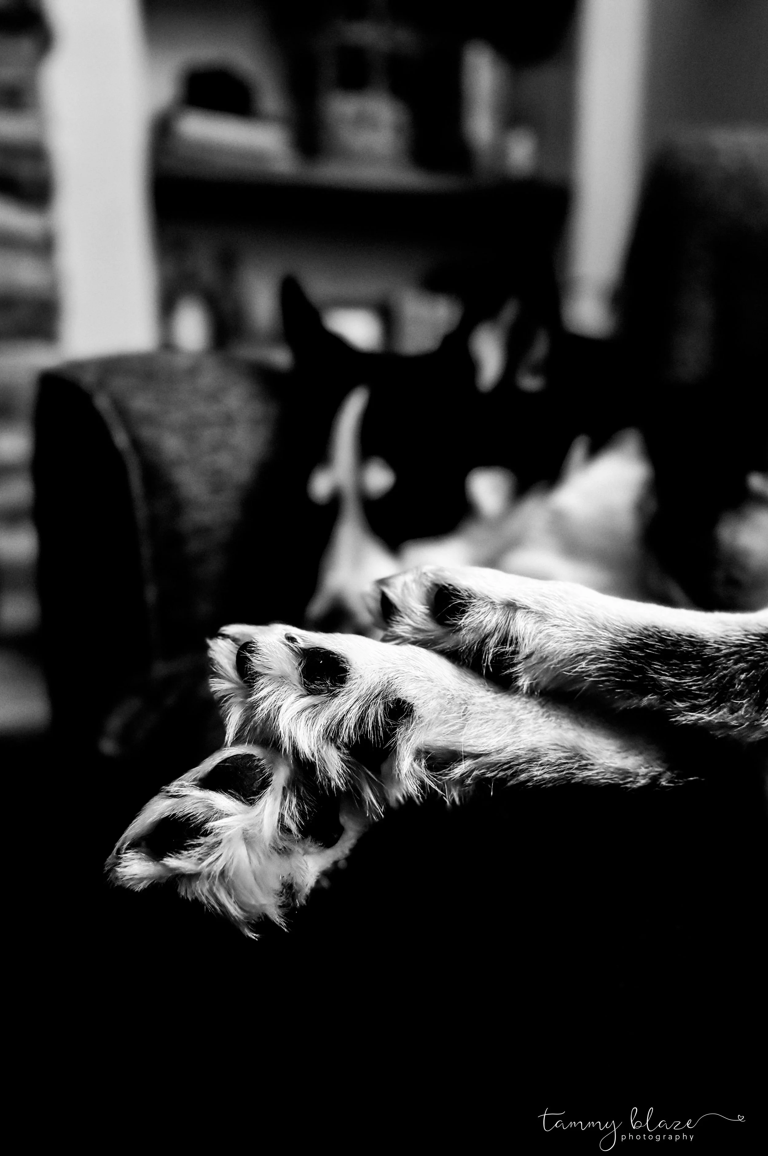 safe sleep - 2026