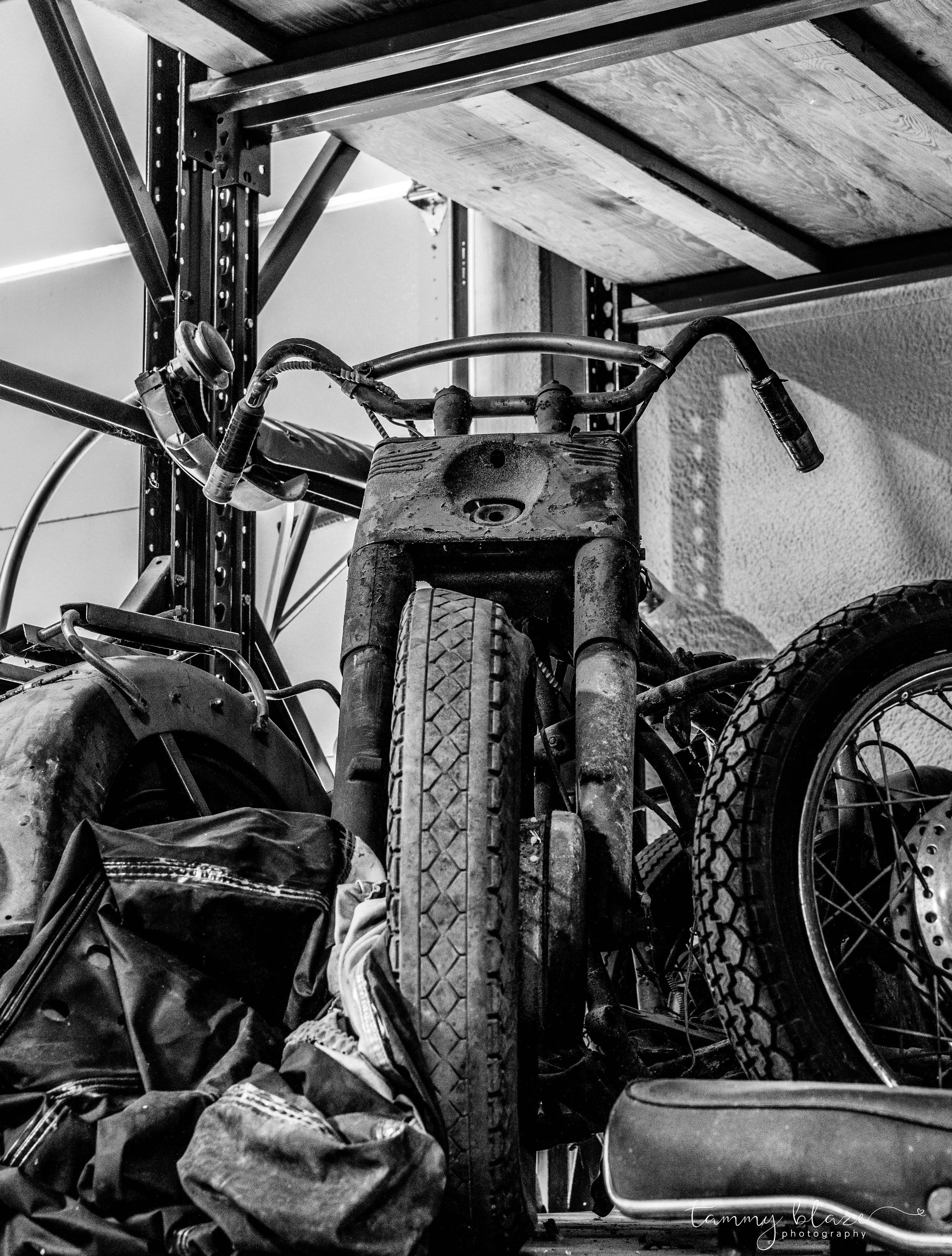 beauty in the wreckage - 2025
